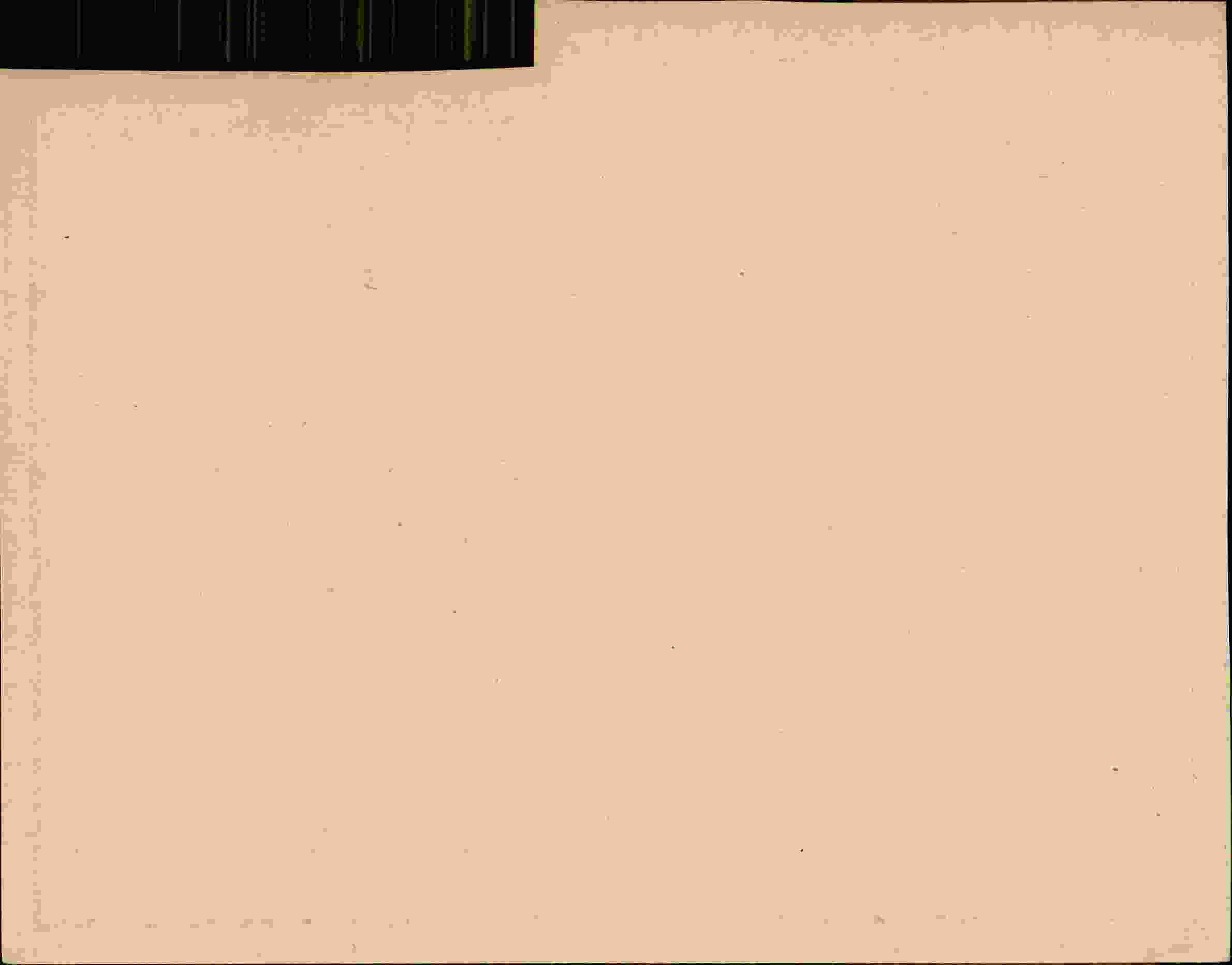 Rückseite des Dokuments