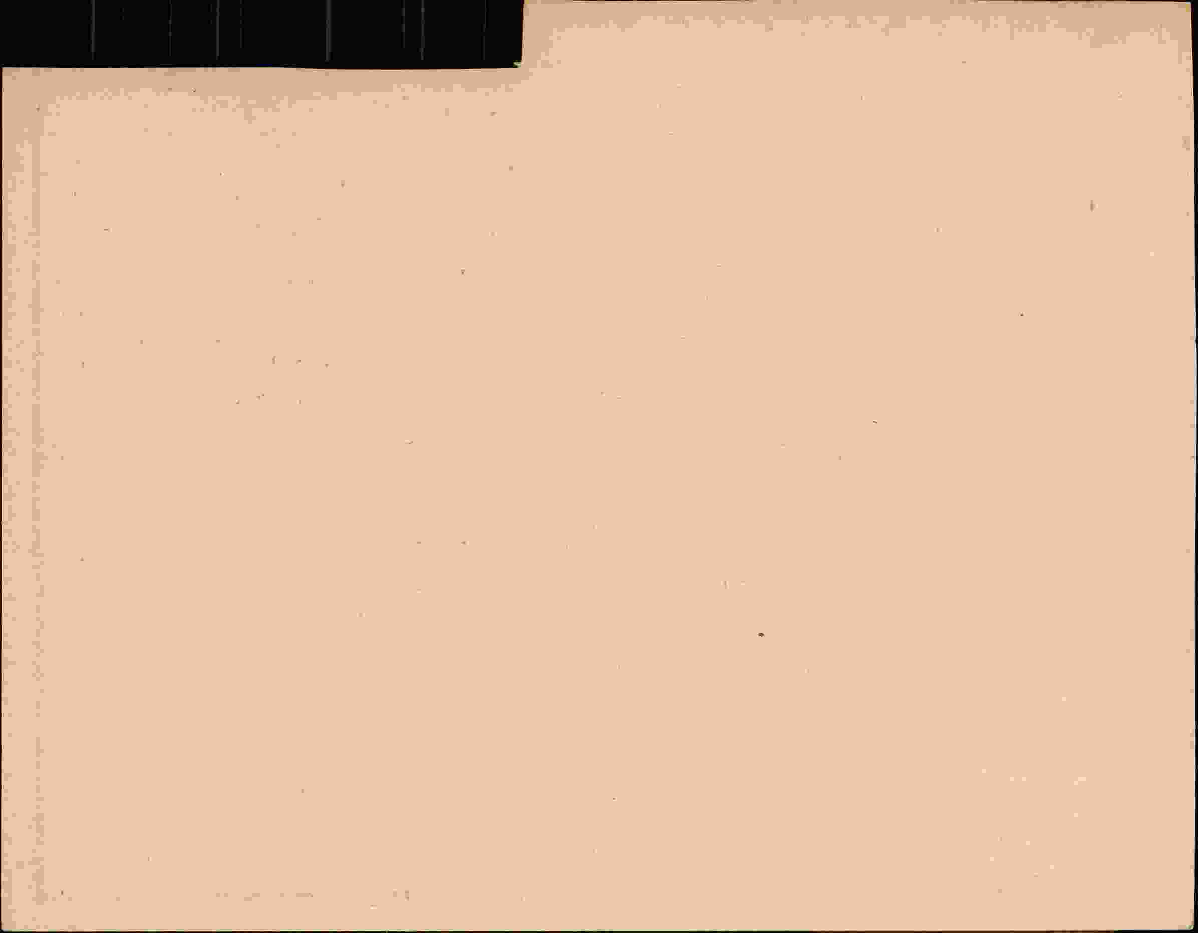Rückseite des Dokuments