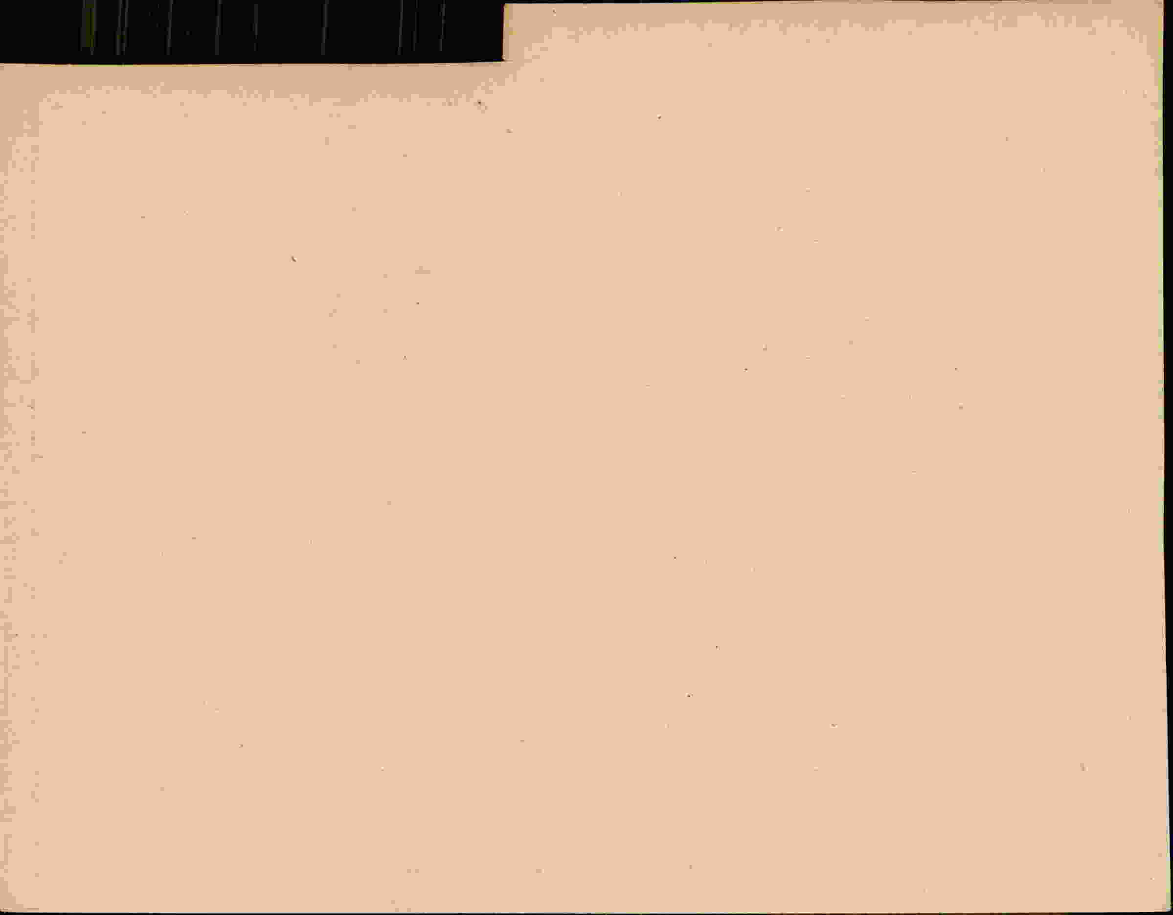 Rückseite des Dokuments
