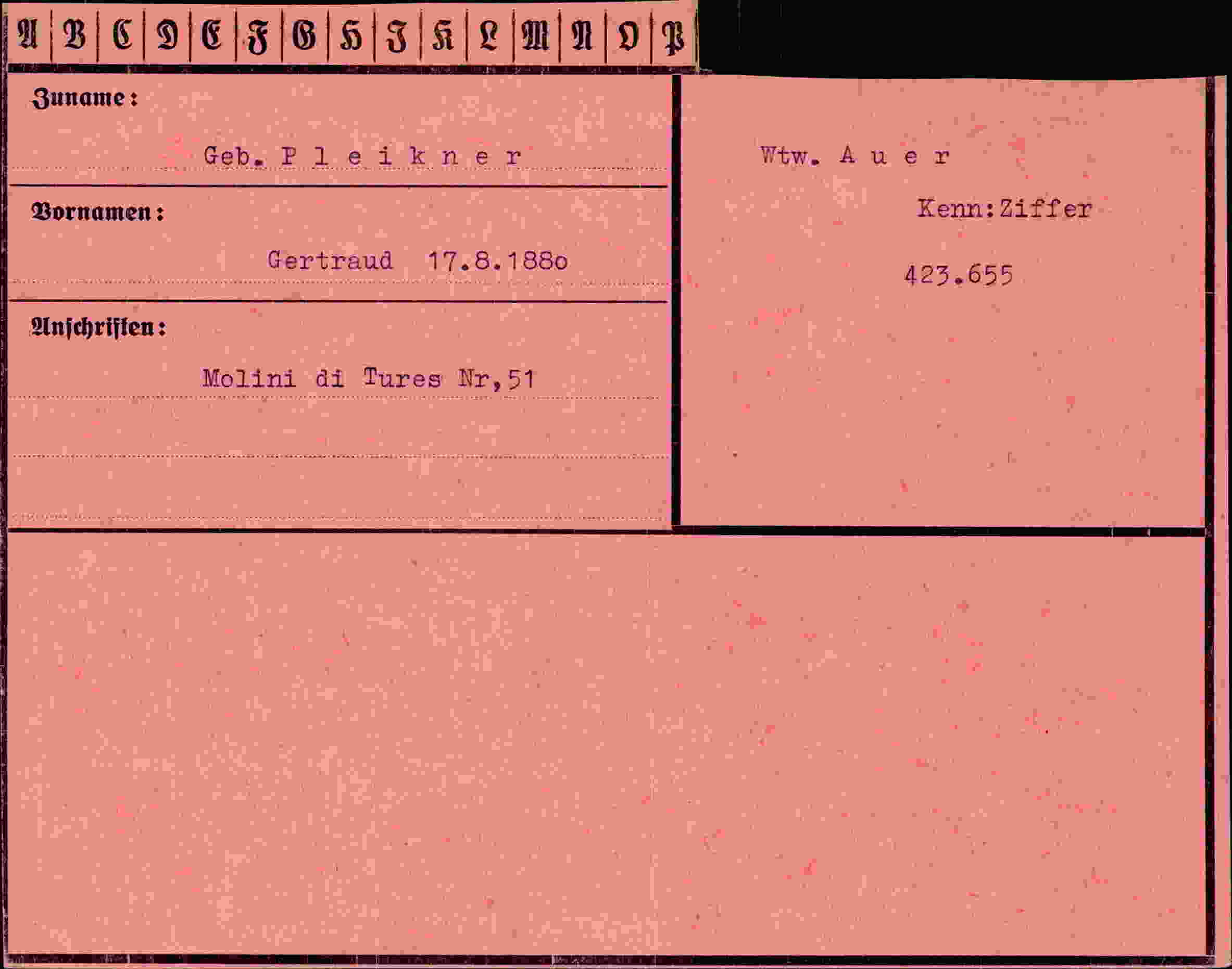 Dokument für Gertraud Pleikner