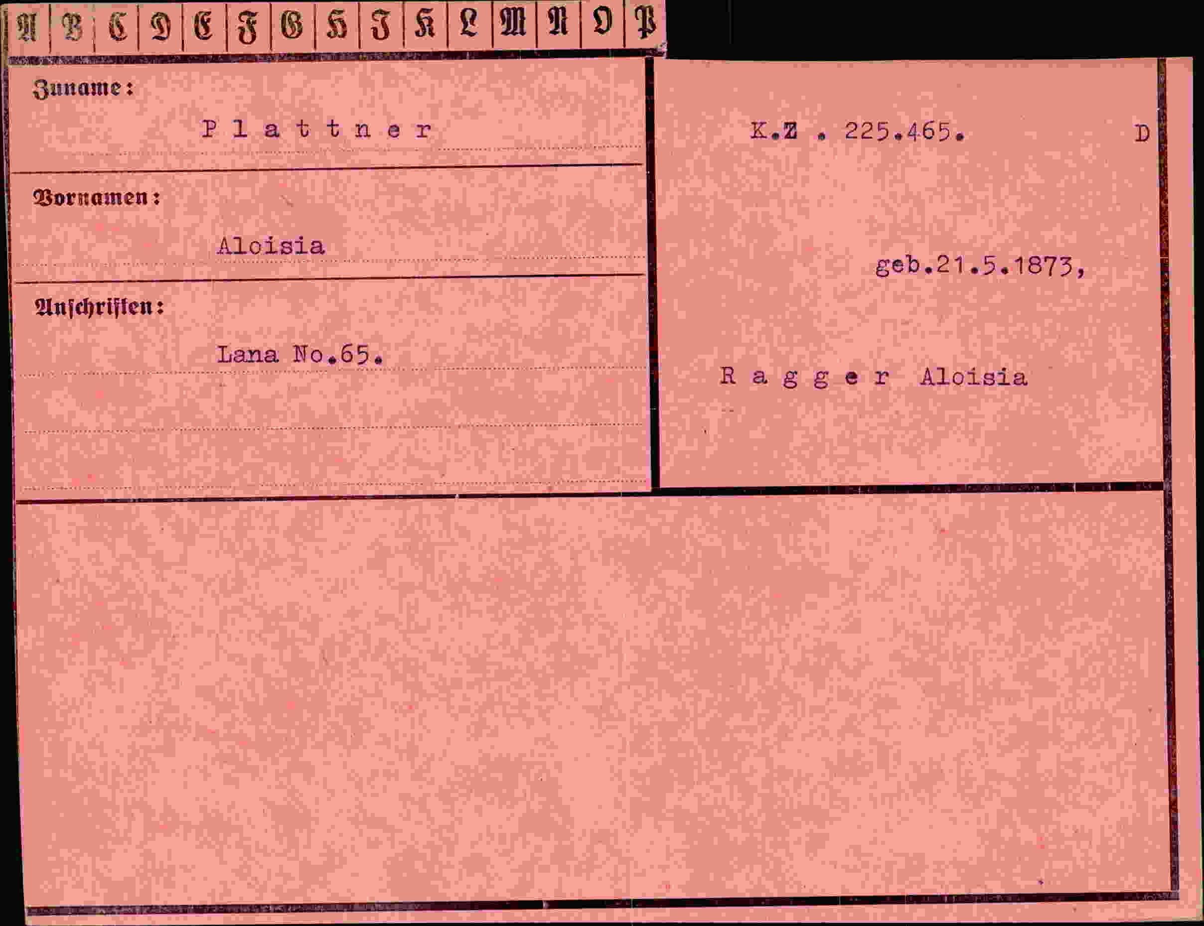 Dokument für Aloisia Plattner