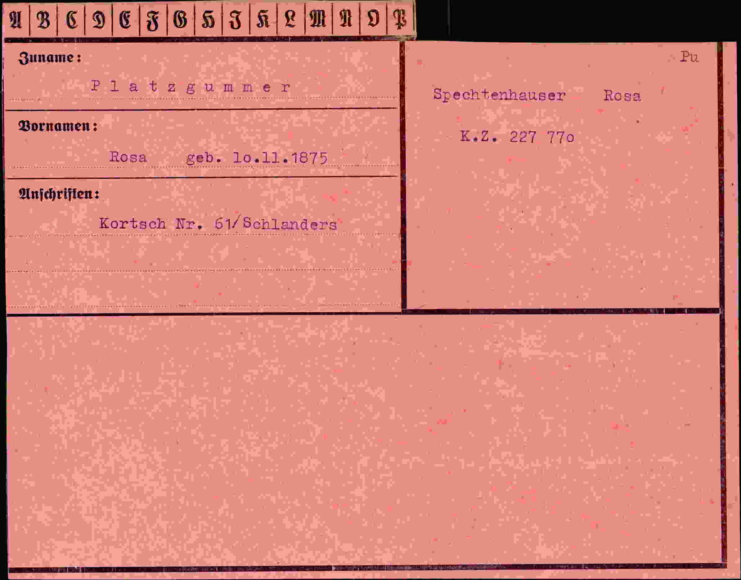 Dokument für Rosa Platzgummer