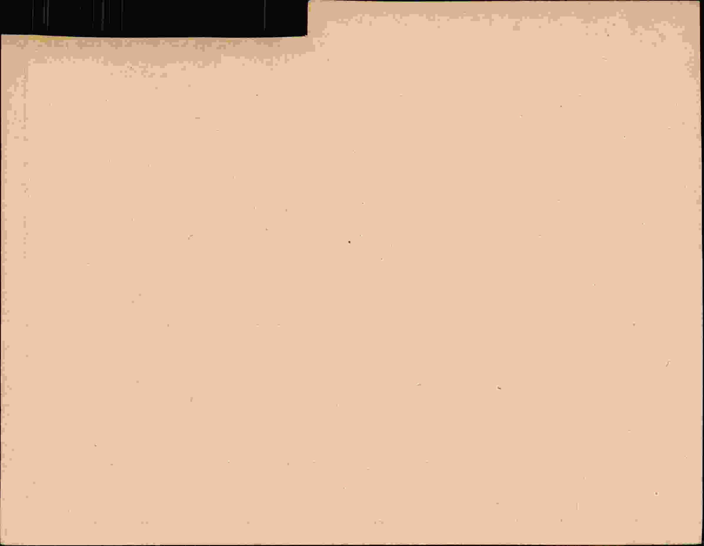 Rückseite des Dokuments