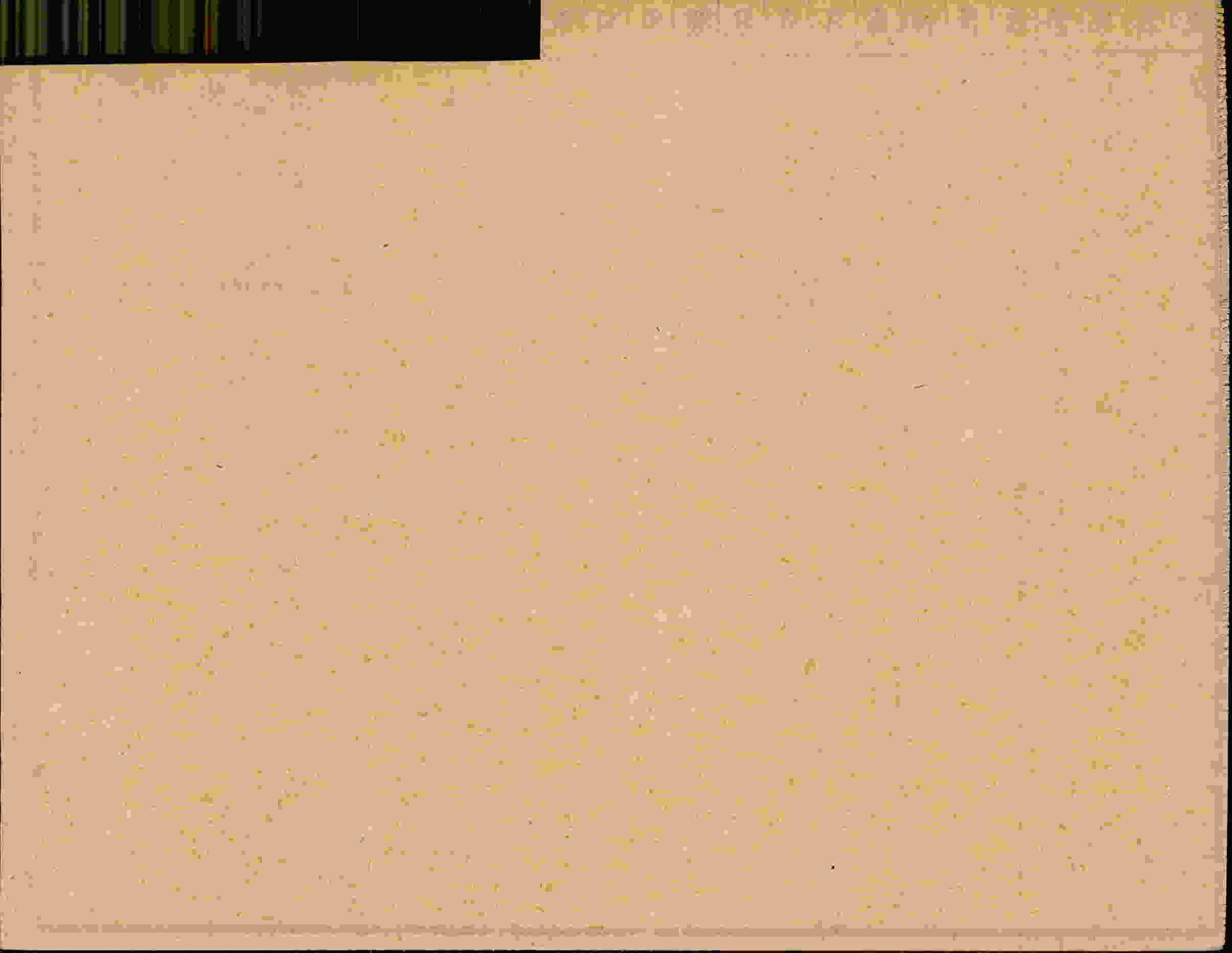 Rückseite des Dokuments