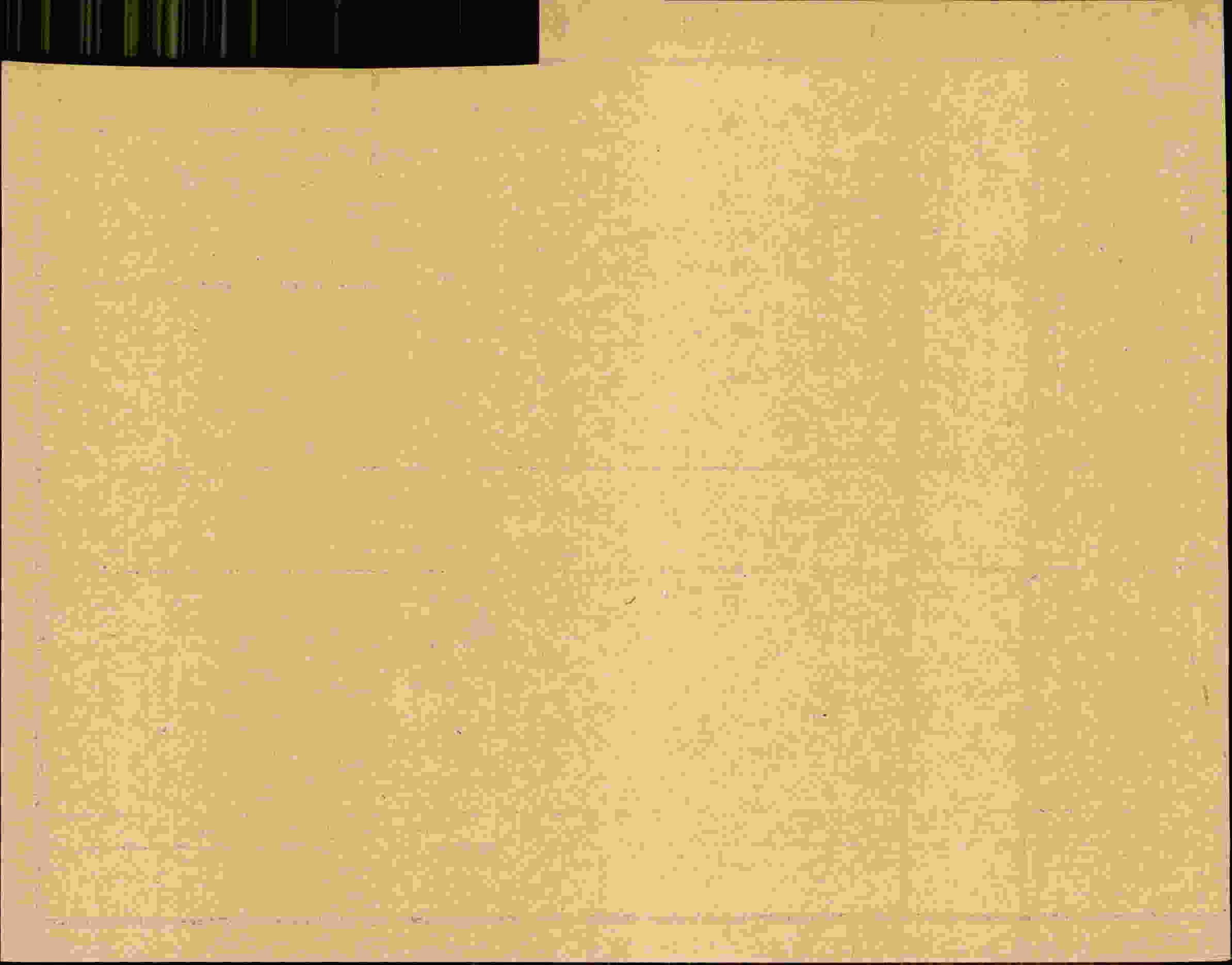 Rückseite des Dokuments
