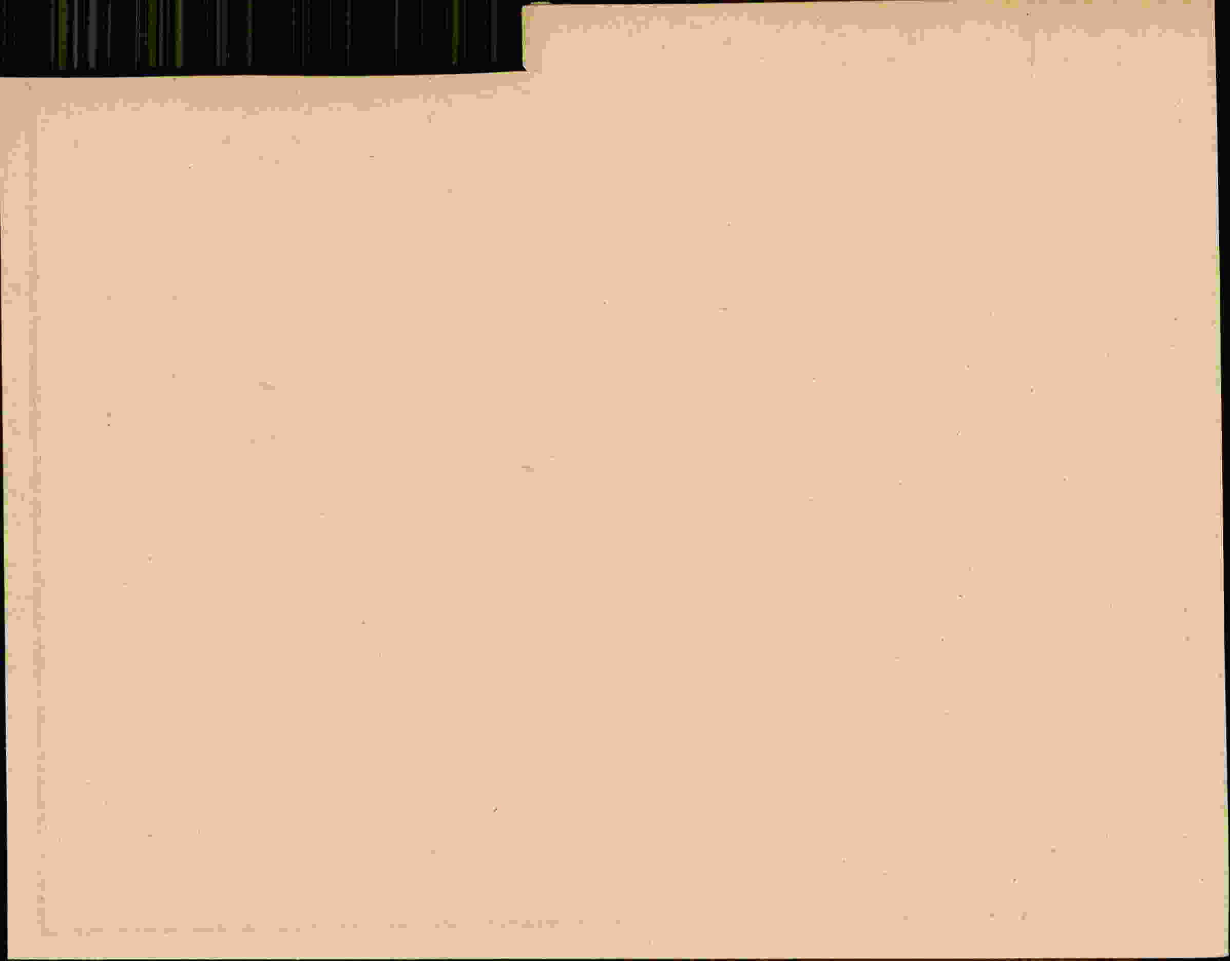 Rückseite des Dokuments