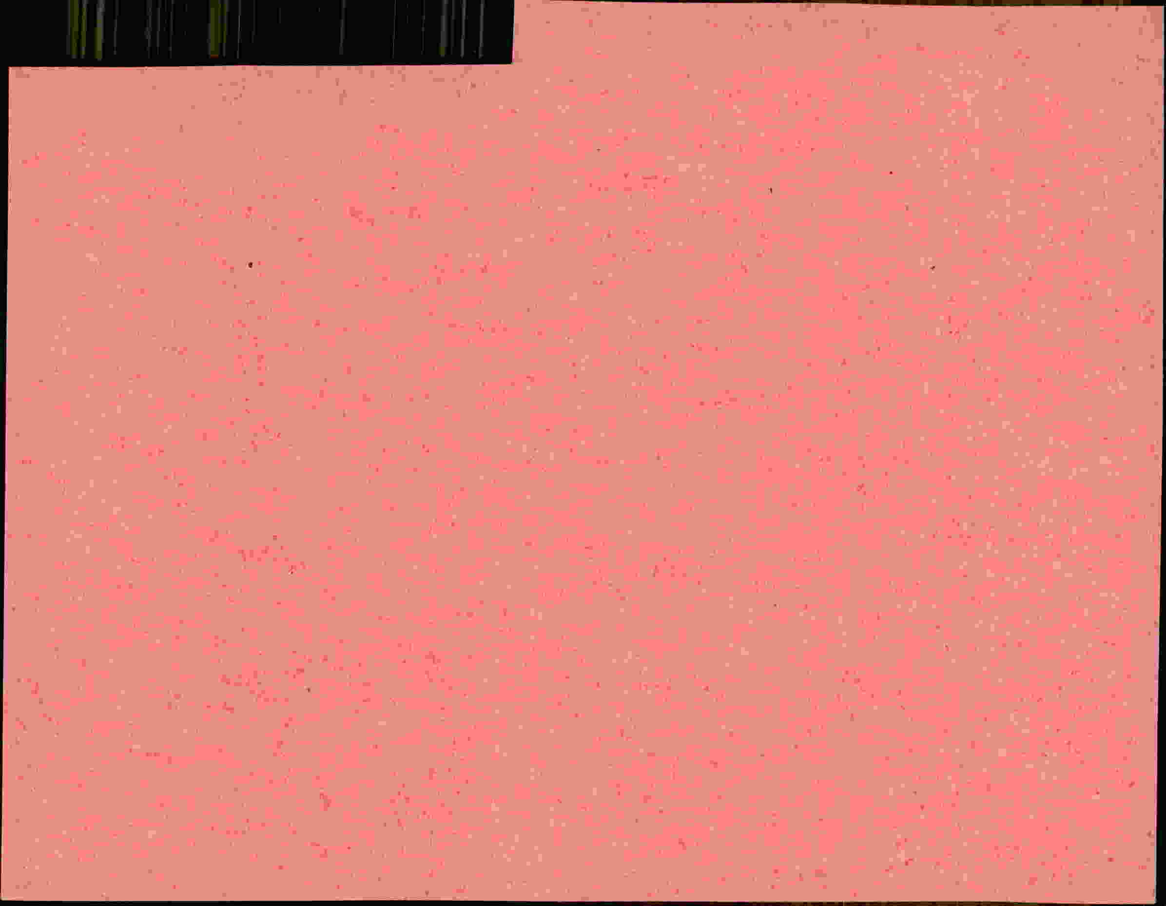 Rückseite des Dokuments