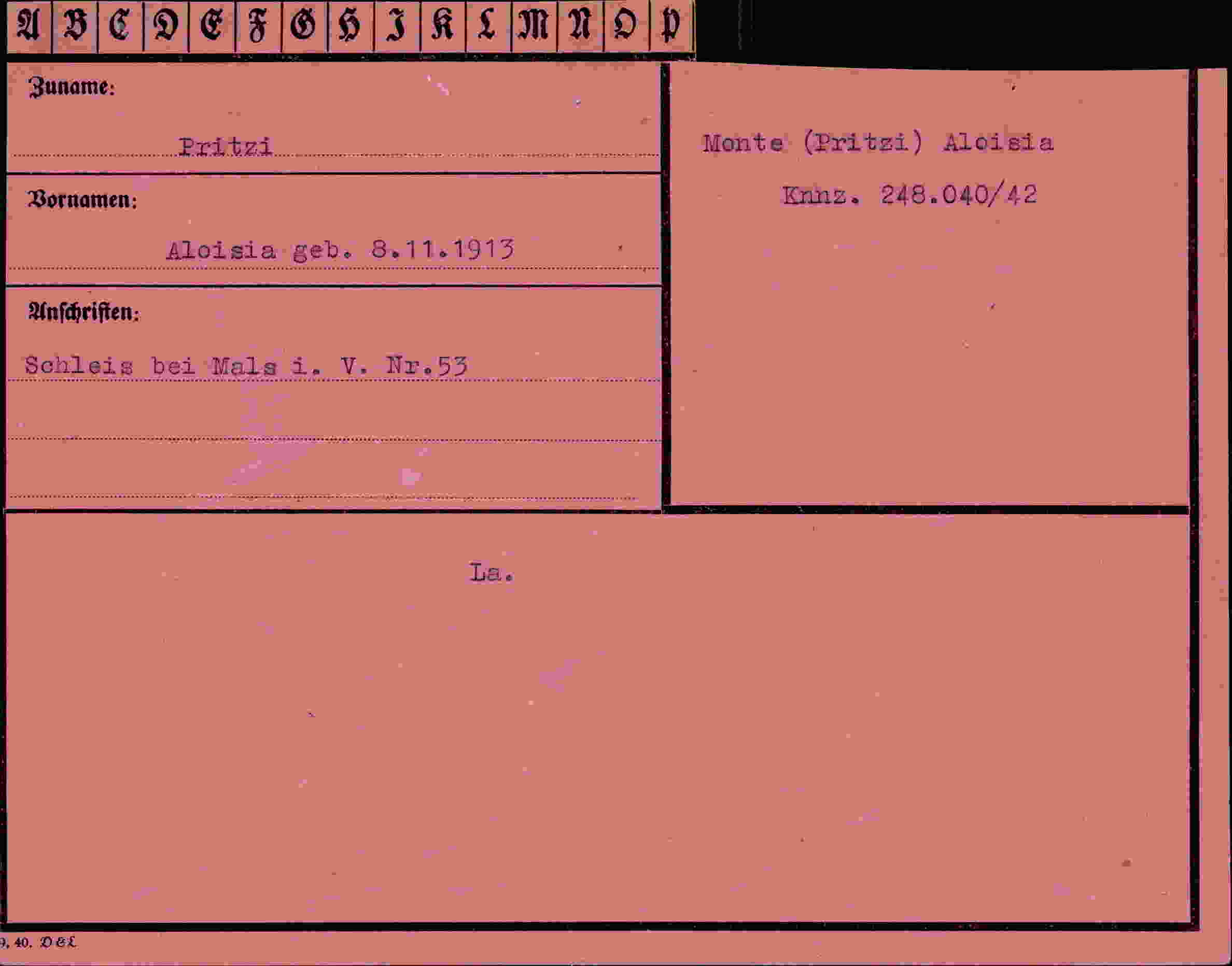 Dokument für Aloisia Pritzi