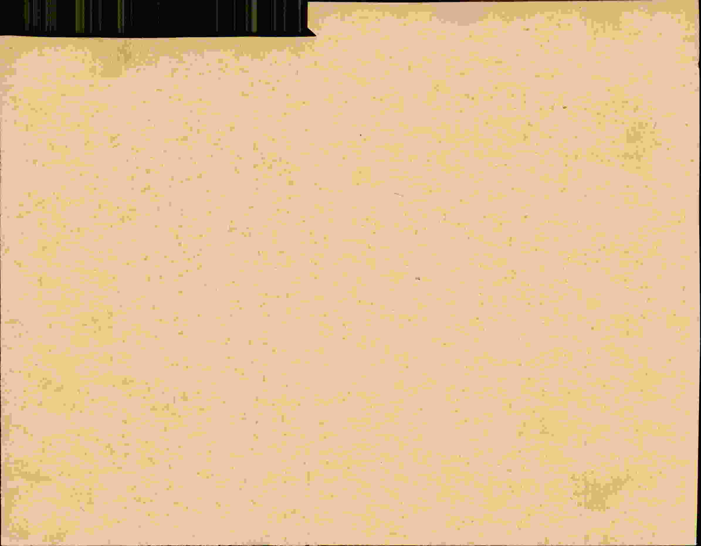 Rückseite des Dokuments