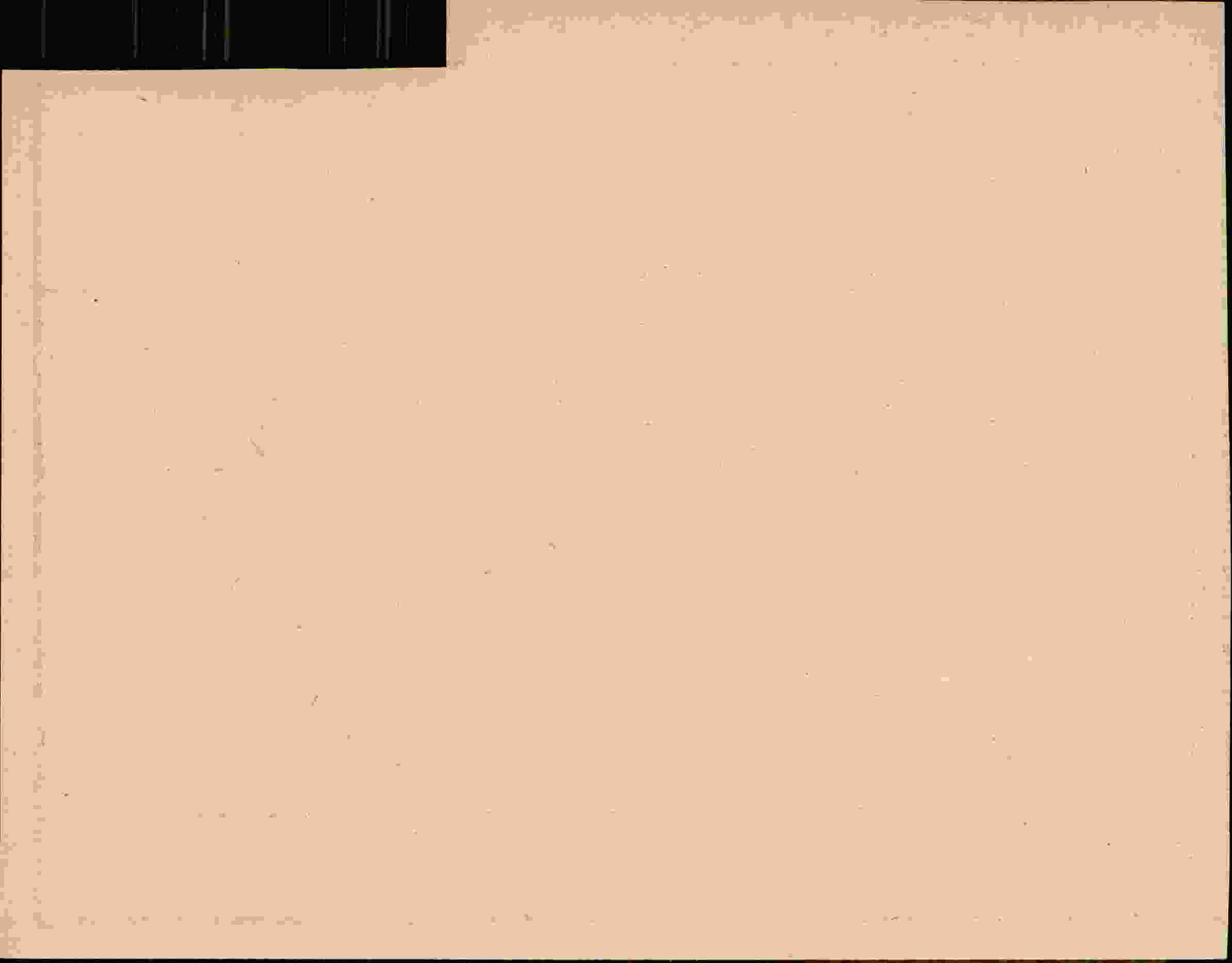 Rückseite des Dokuments