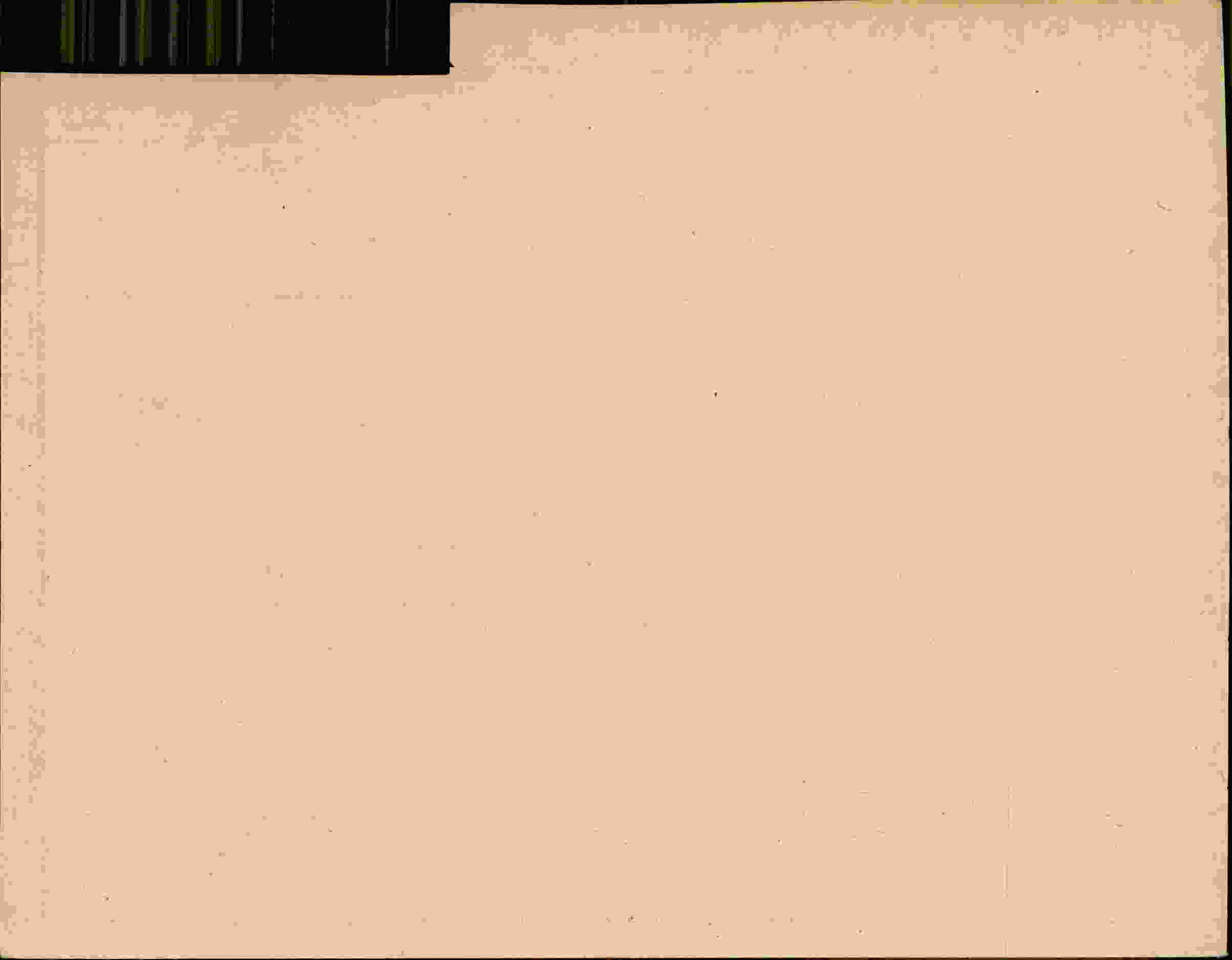 Rückseite des Dokuments