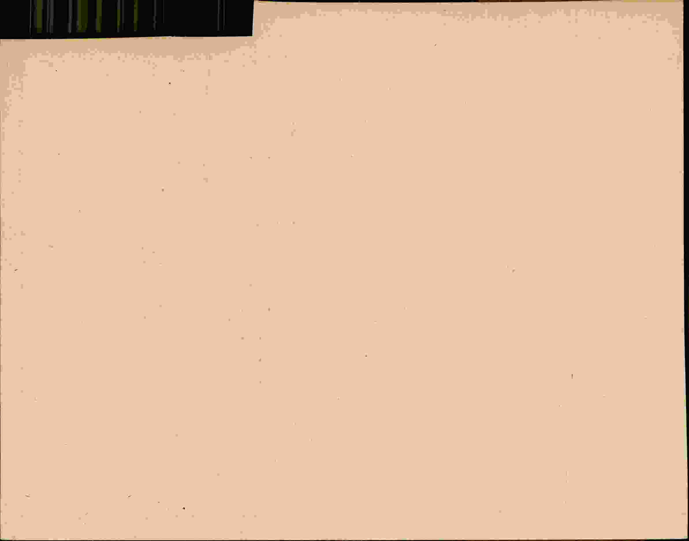 Rückseite des Dokuments