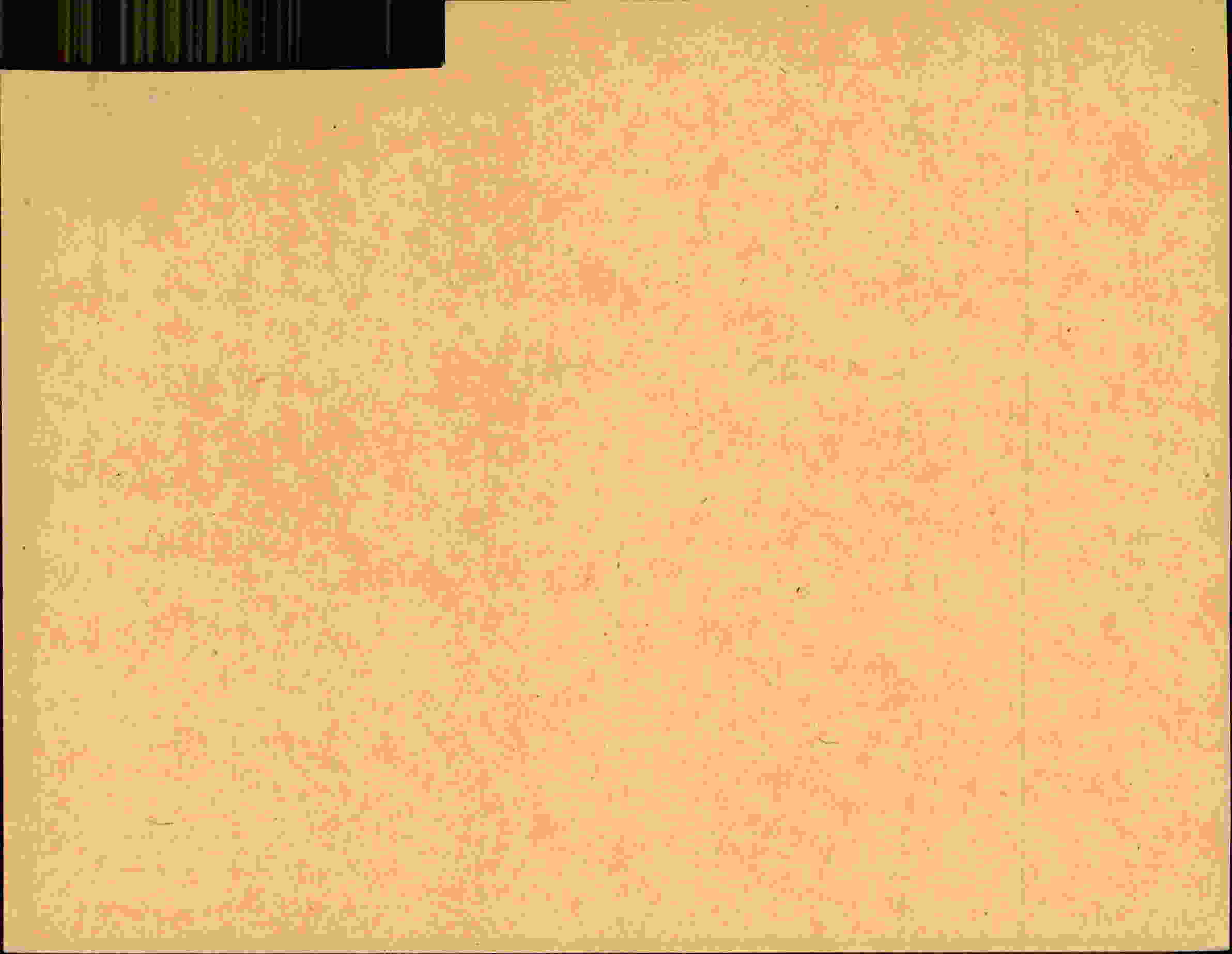Rückseite des Dokuments