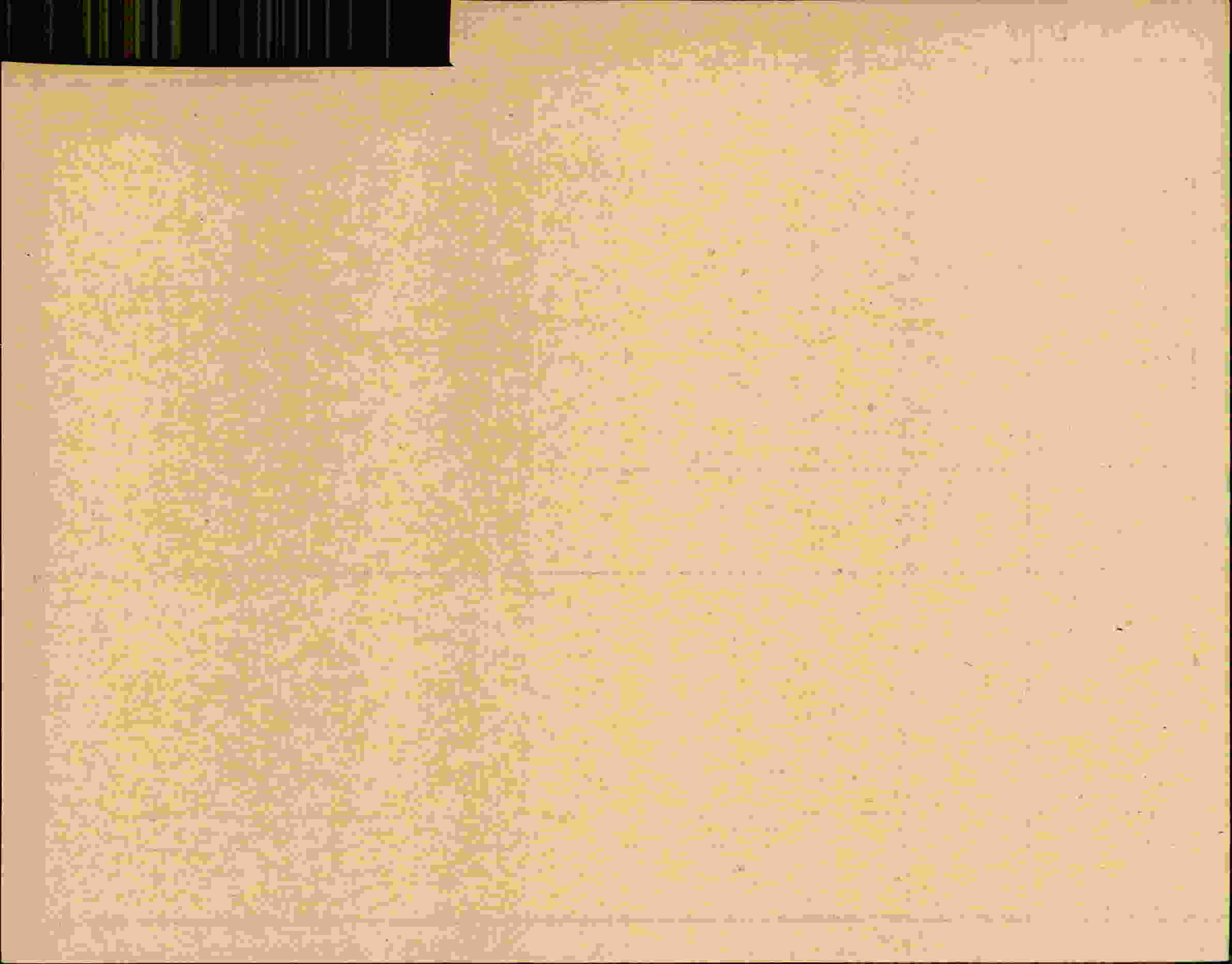 Rückseite des Dokuments