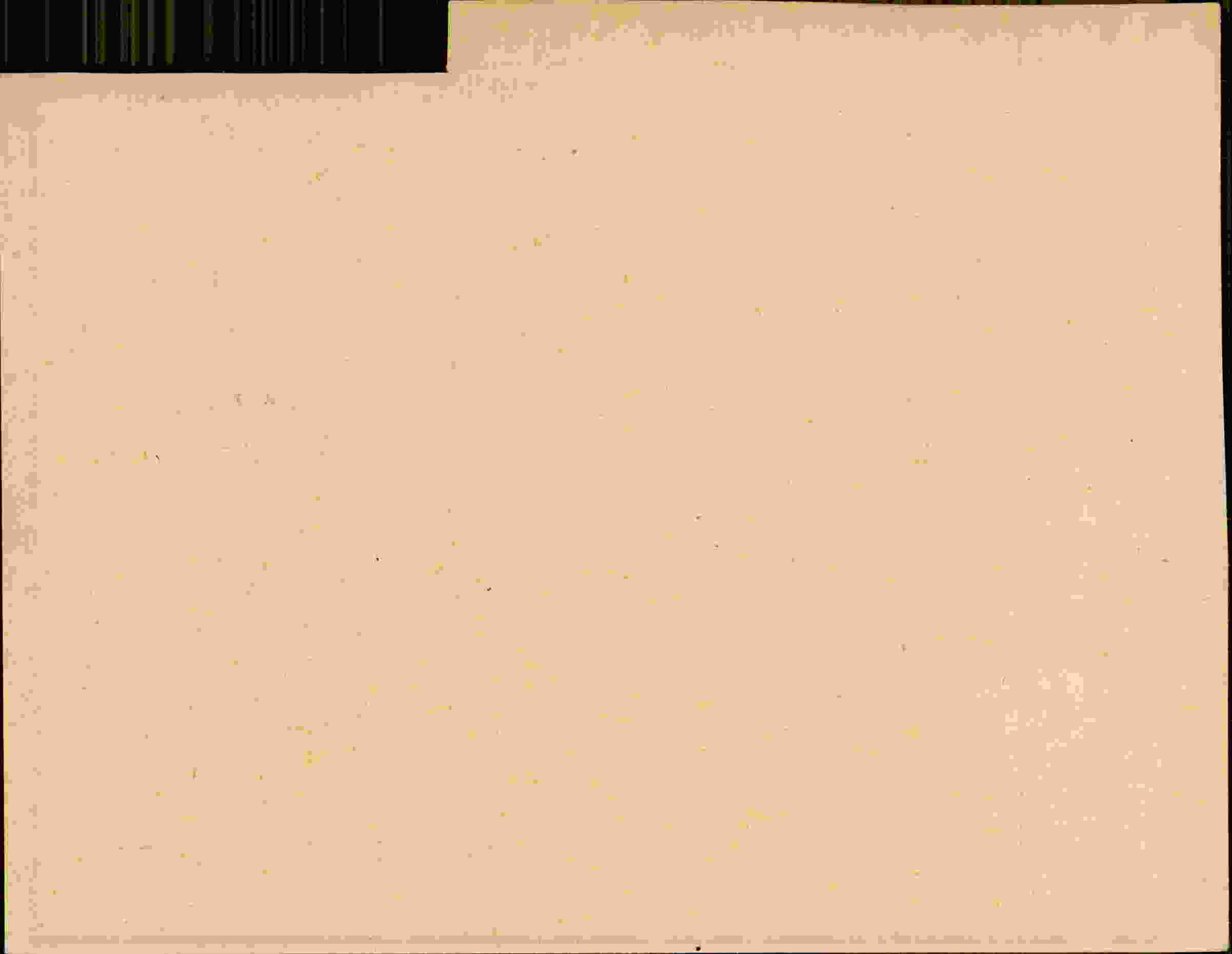 Rückseite des Dokuments