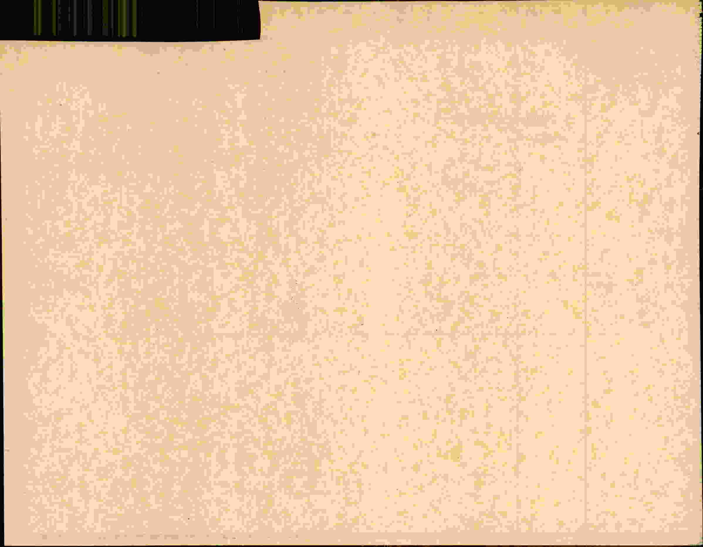 Rückseite des Dokuments