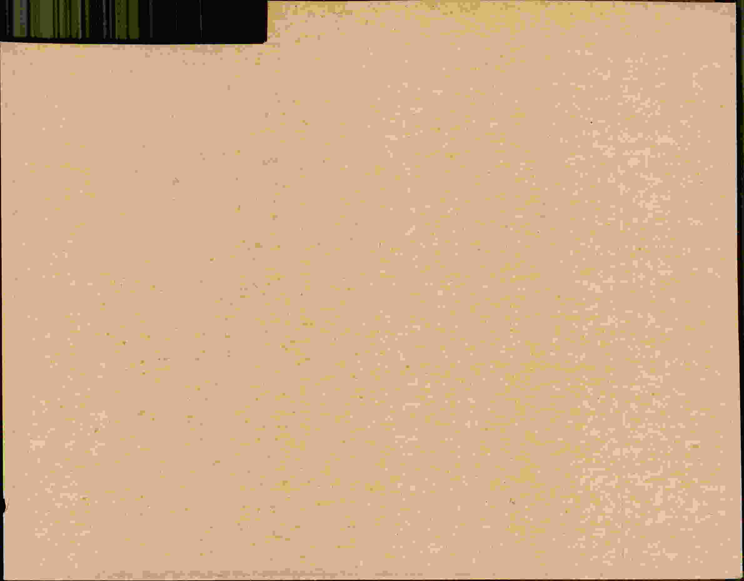 Rückseite des Dokuments
