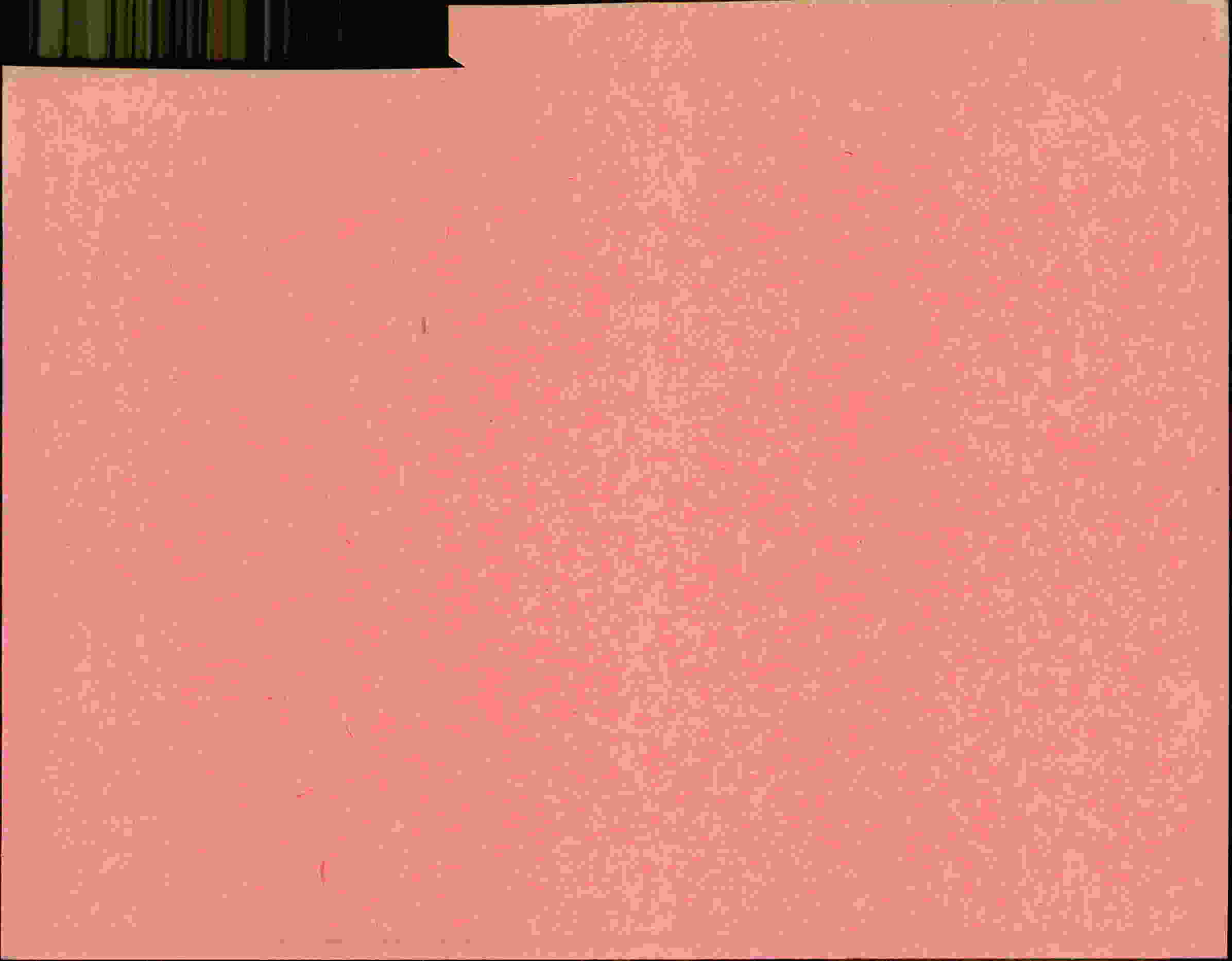 Rückseite des Dokuments