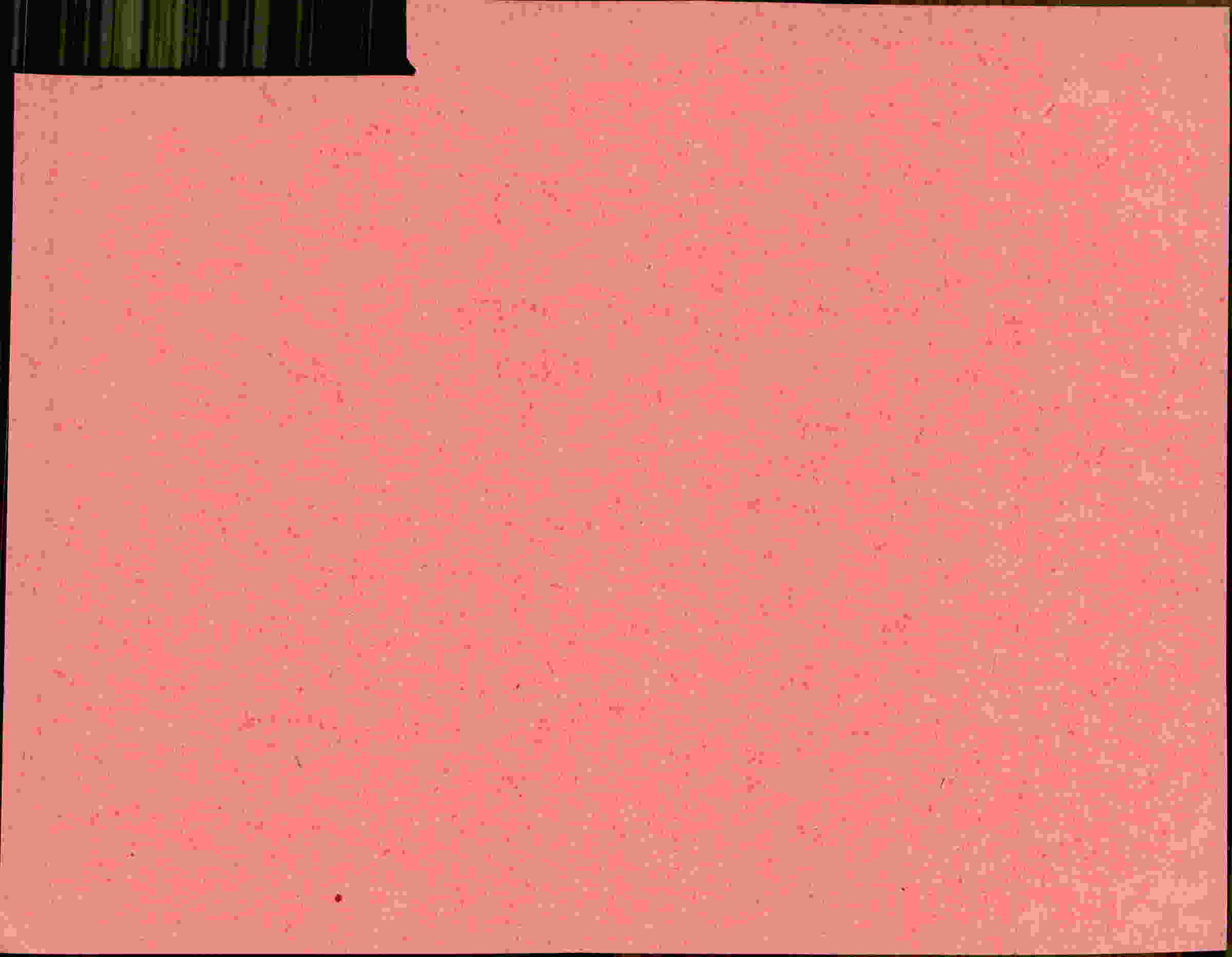 Rückseite des Dokuments