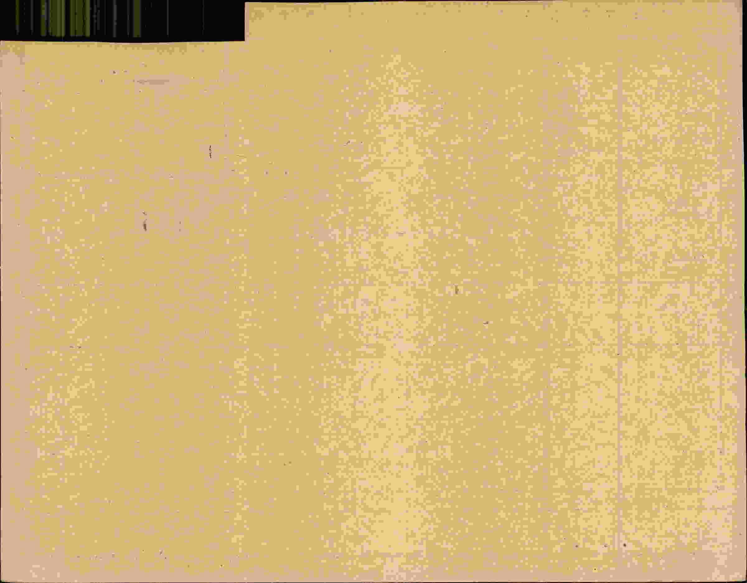 Rückseite des Dokuments