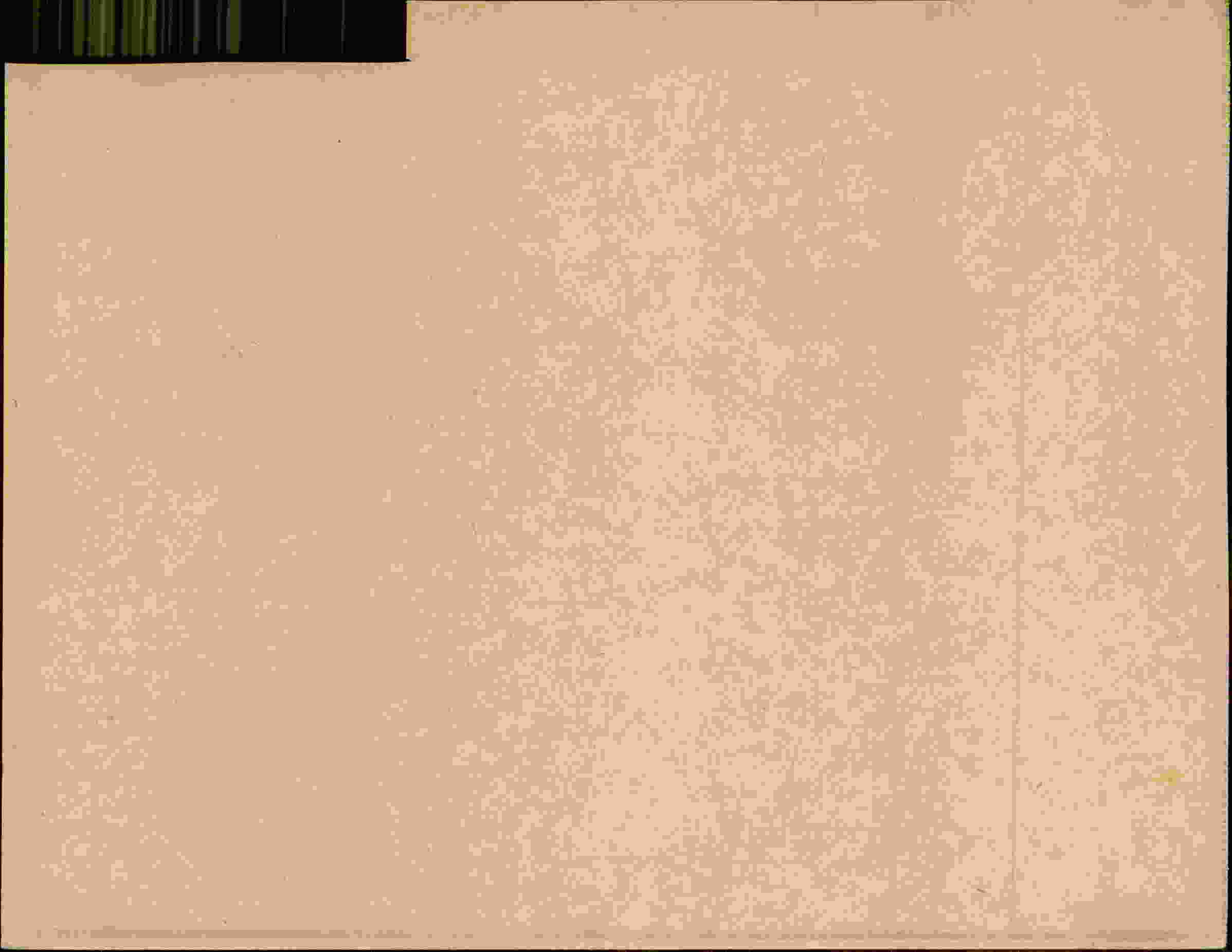 Rückseite des Dokuments