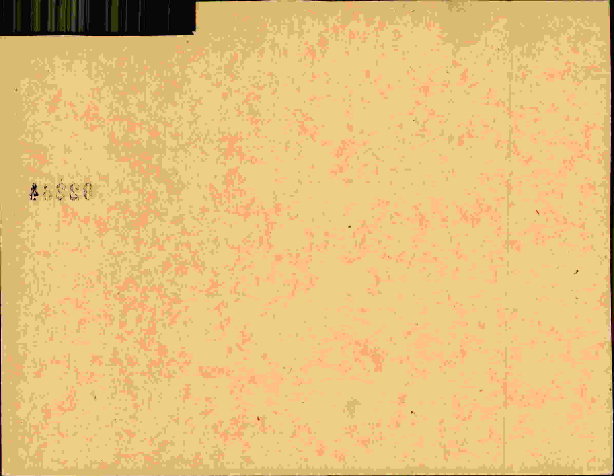 Rückseite des Dokuments