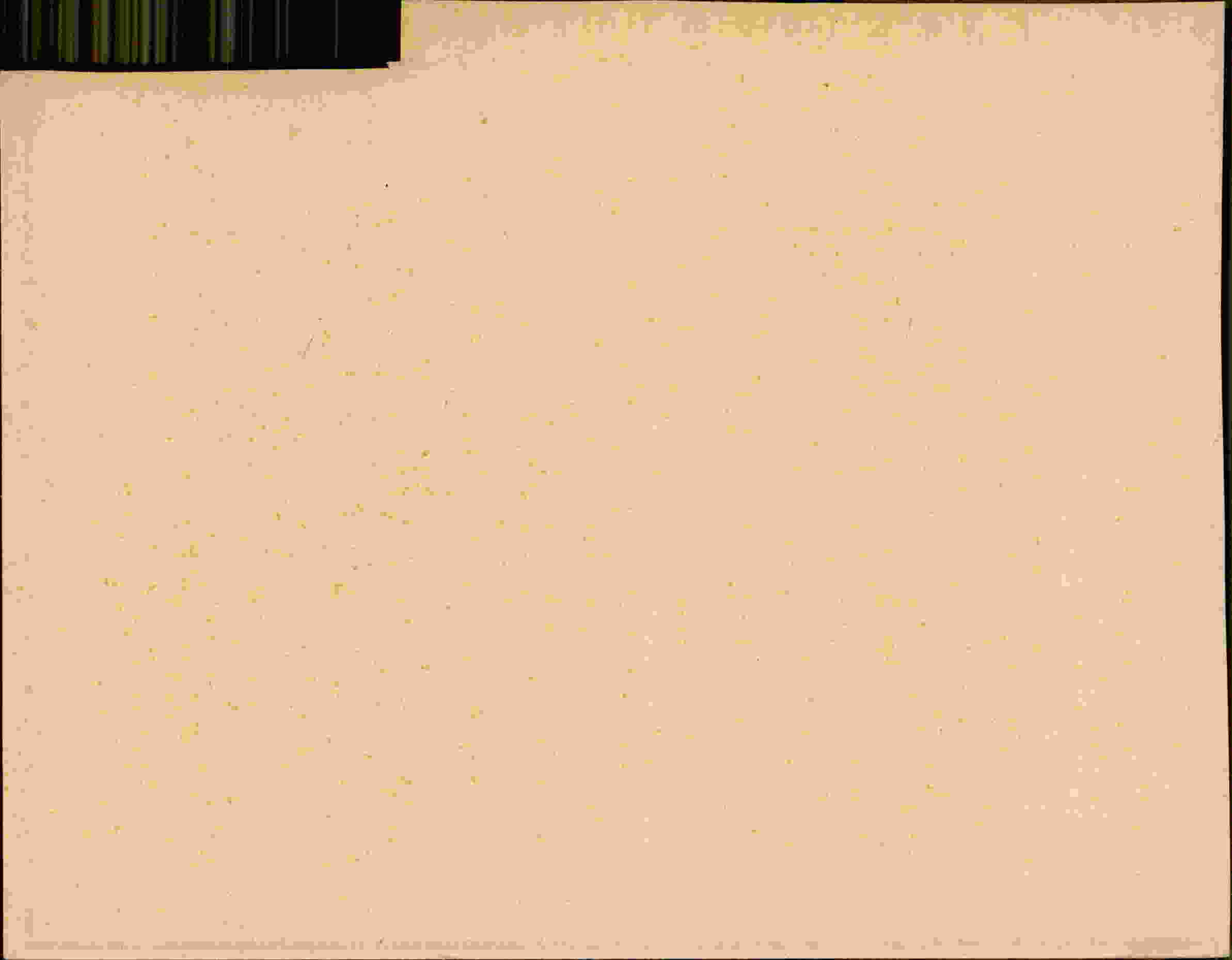 Rückseite des Dokuments