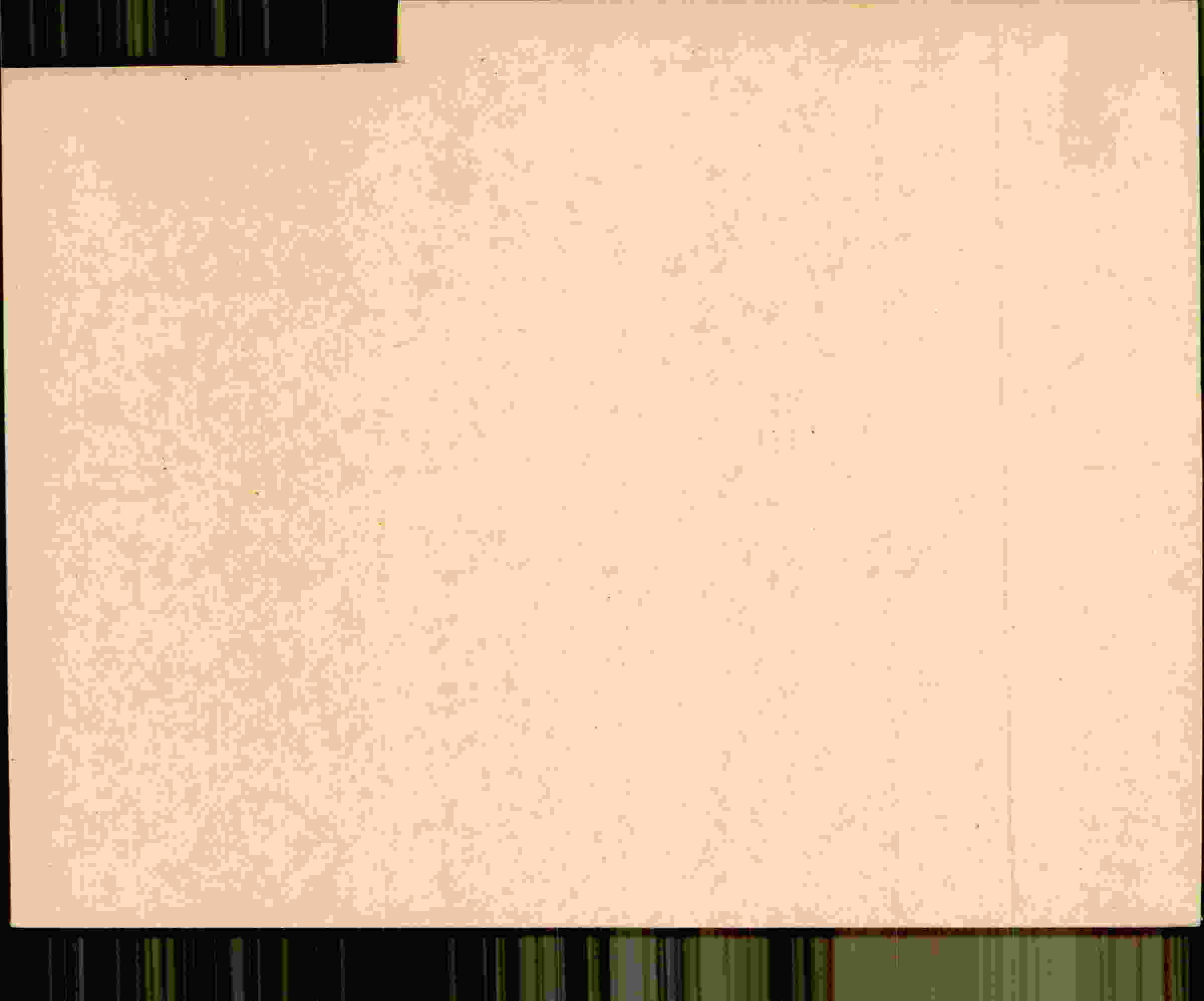 Rückseite des Dokuments