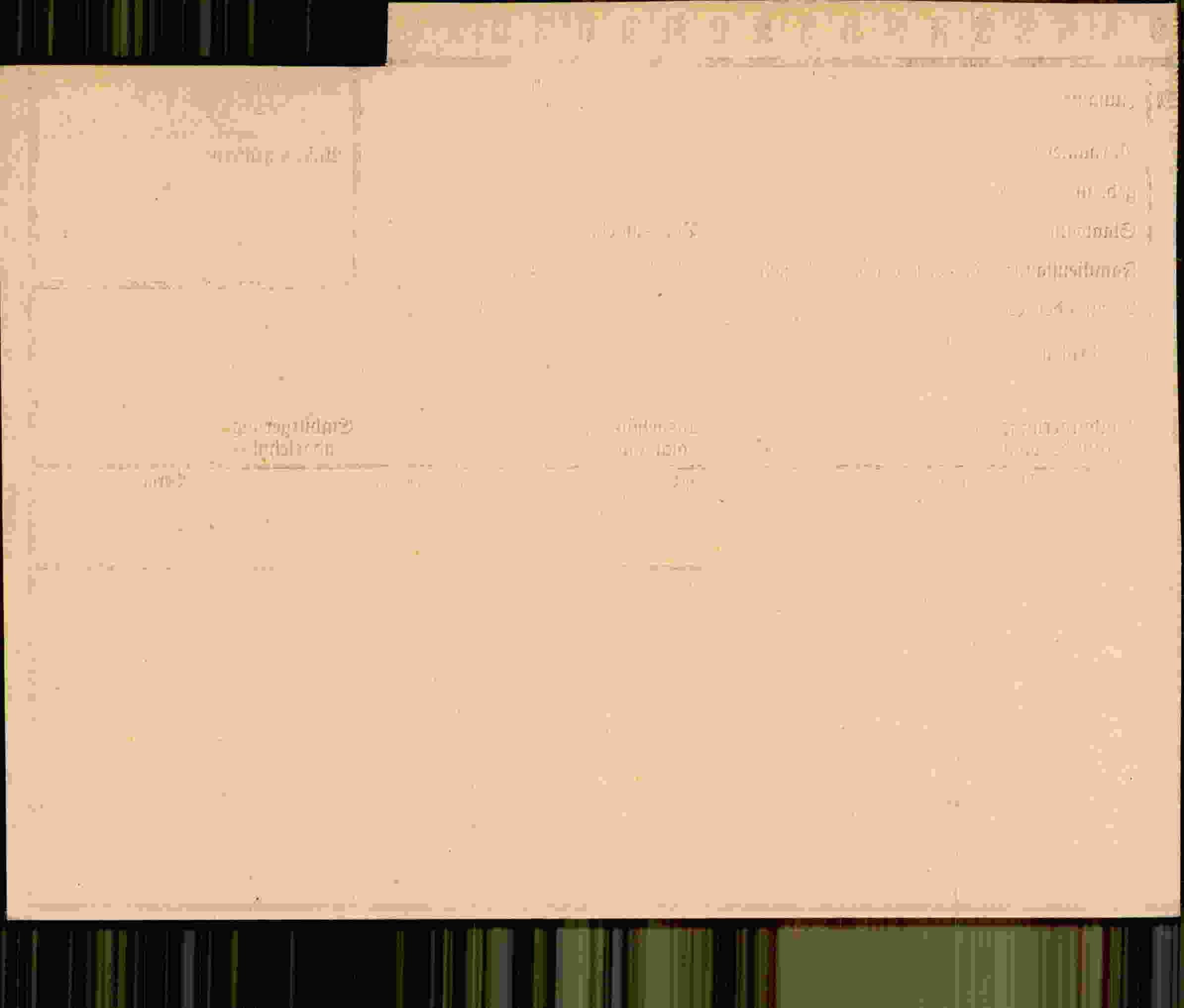 Rückseite des Dokuments