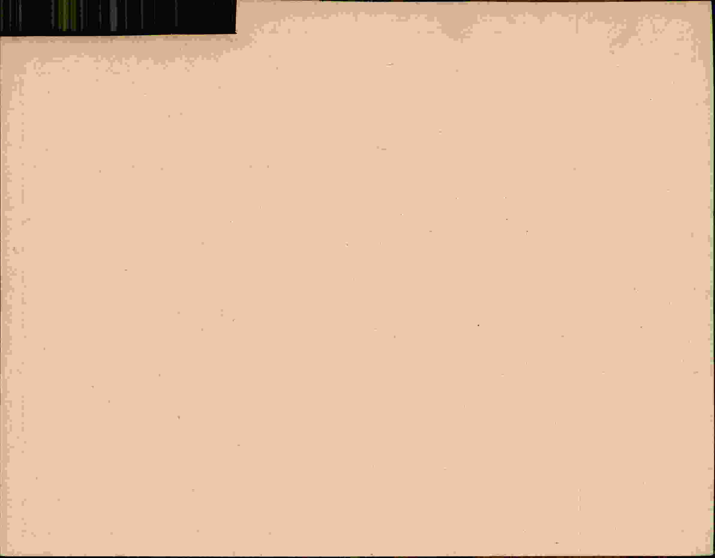 Rückseite des Dokuments