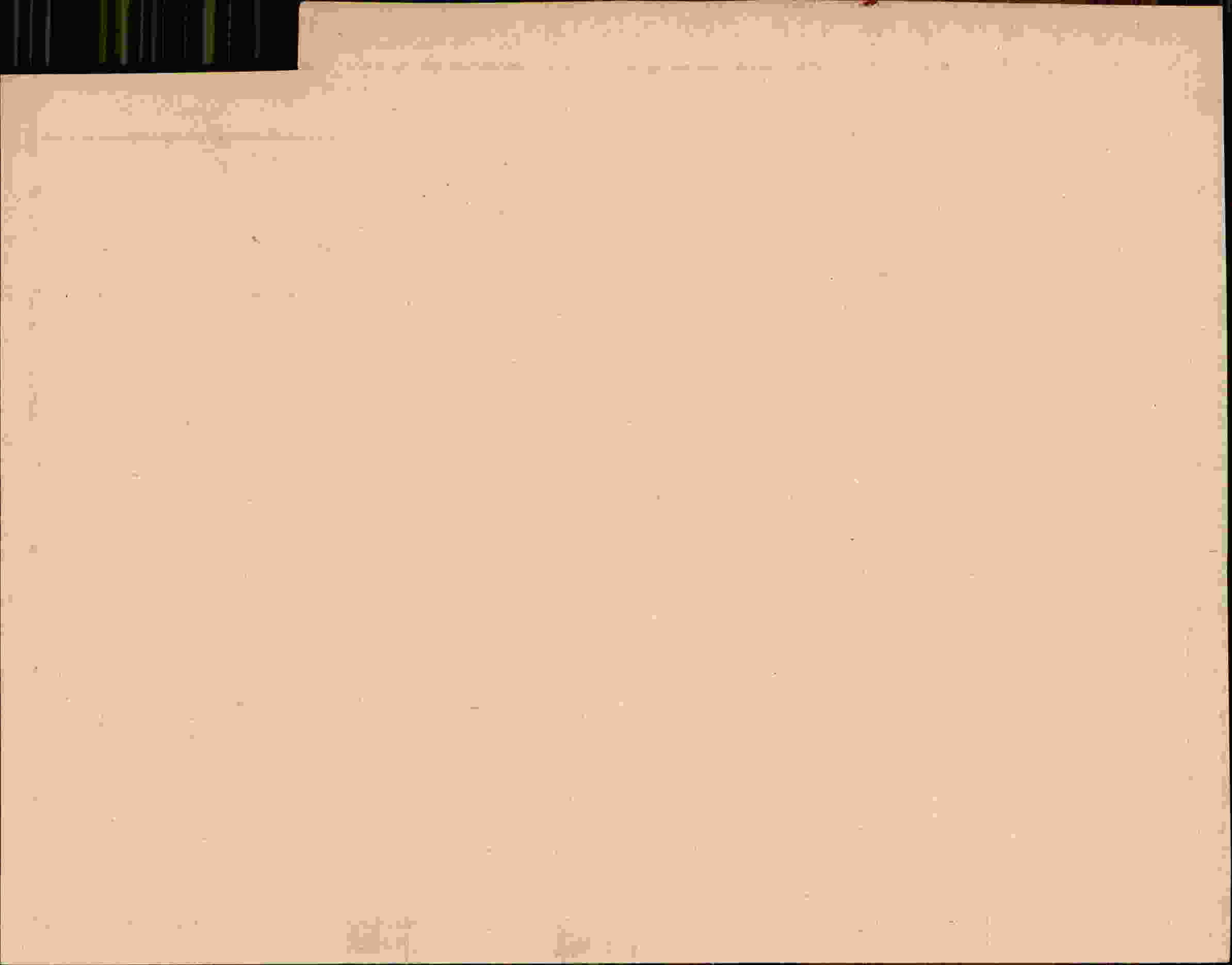 Rückseite des Dokuments
