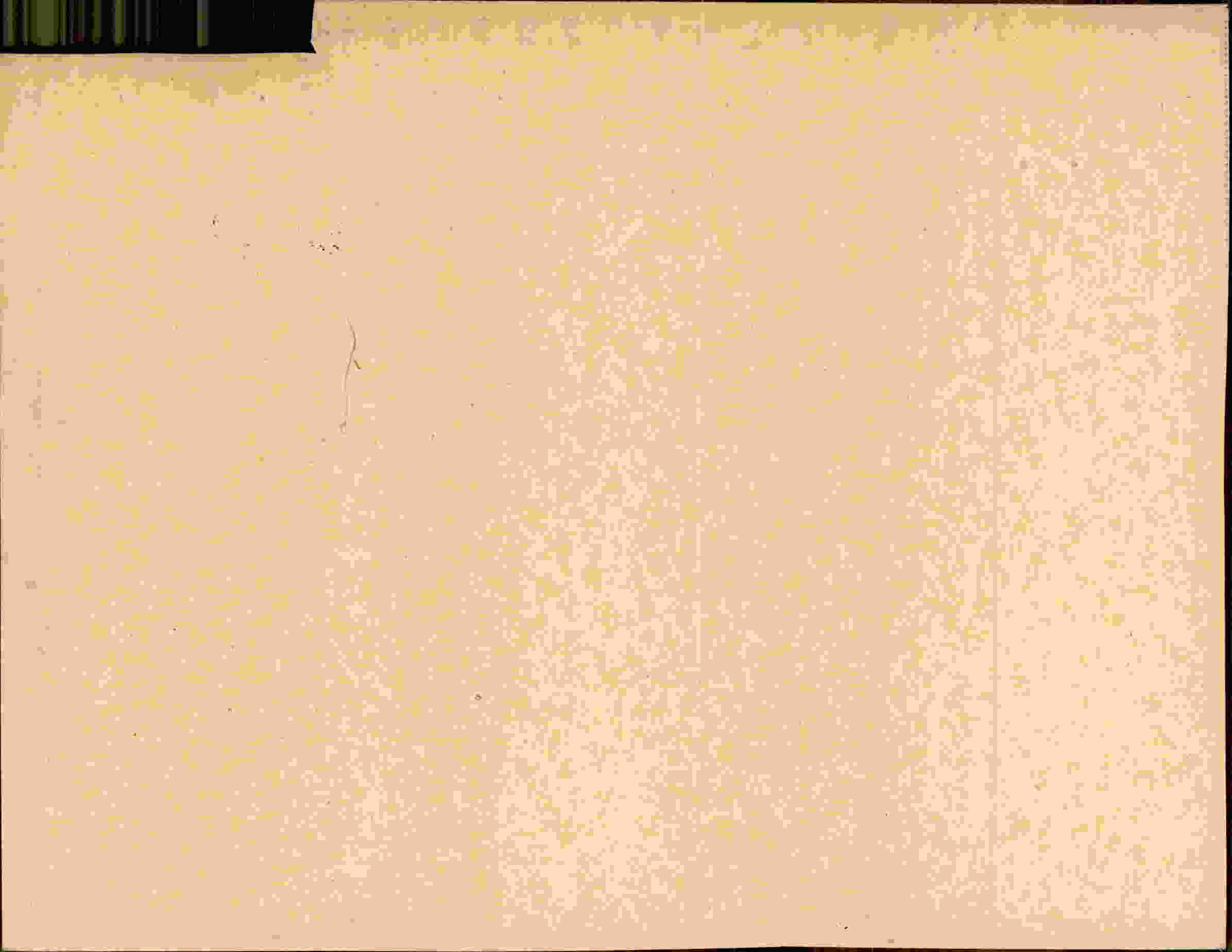 Rückseite des Dokuments
