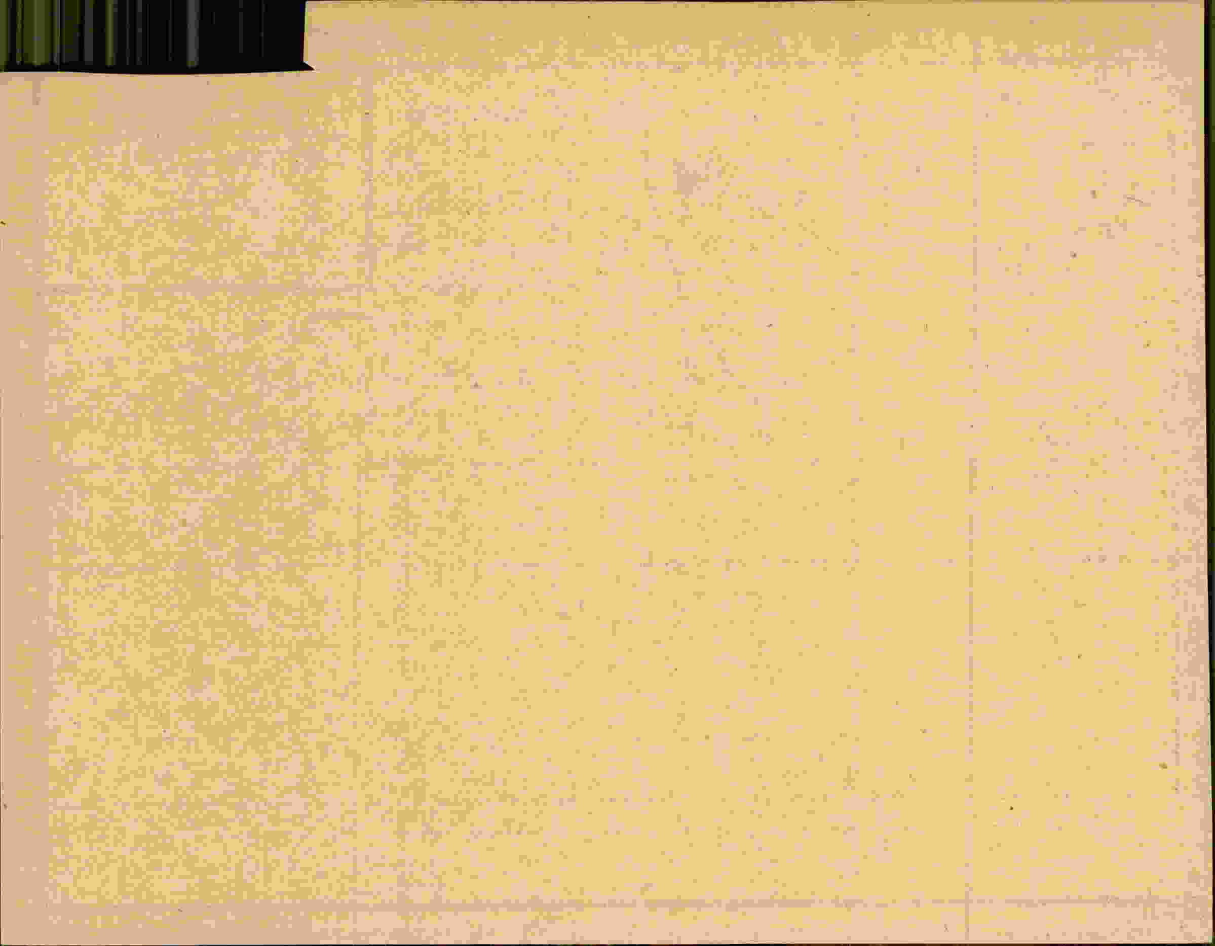 Rückseite des Dokuments