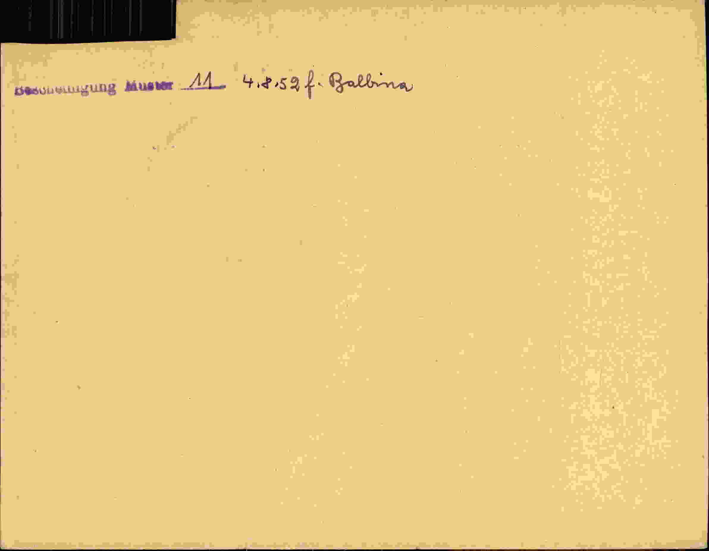 Rückseite des Dokuments
