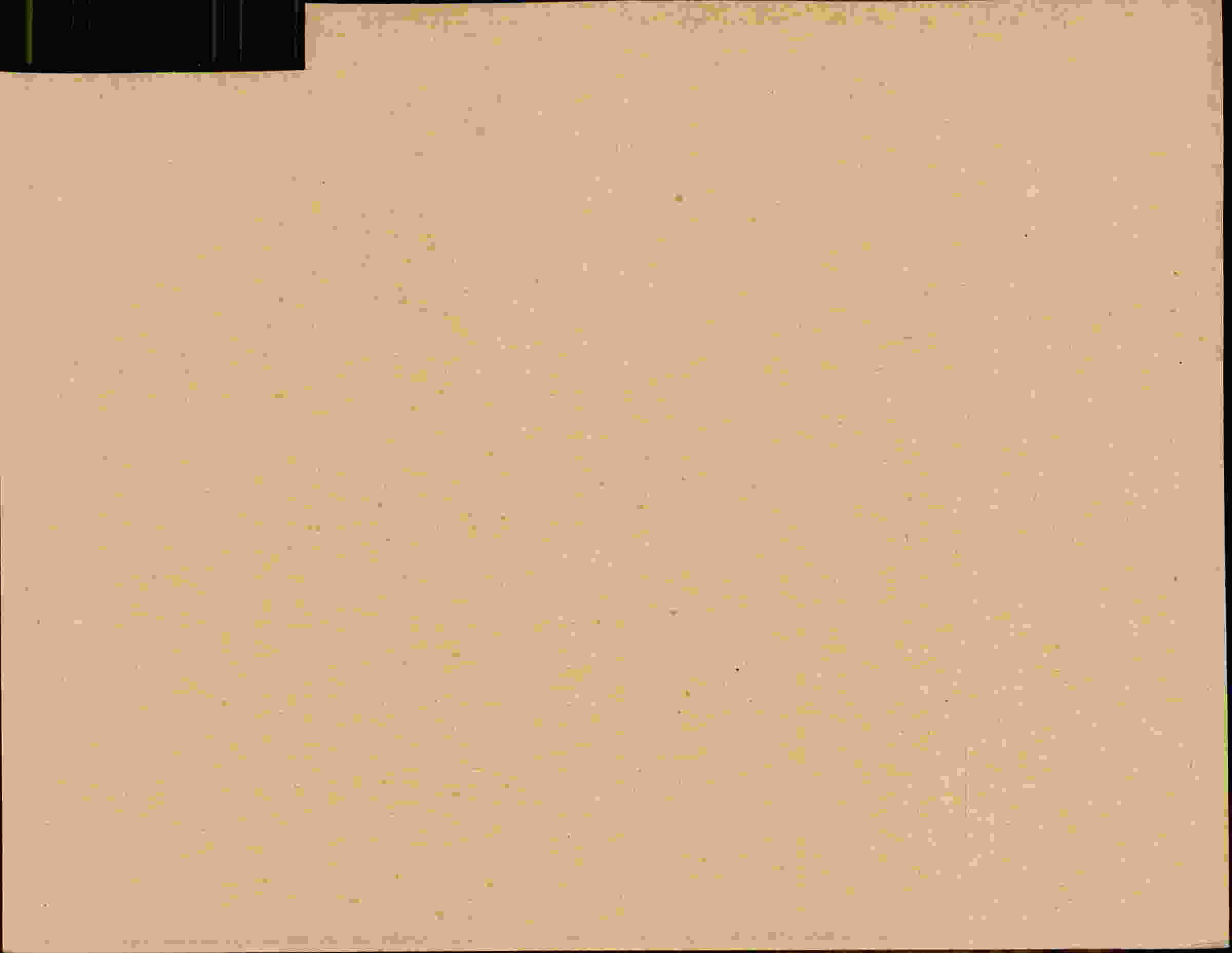 Rückseite des Dokuments