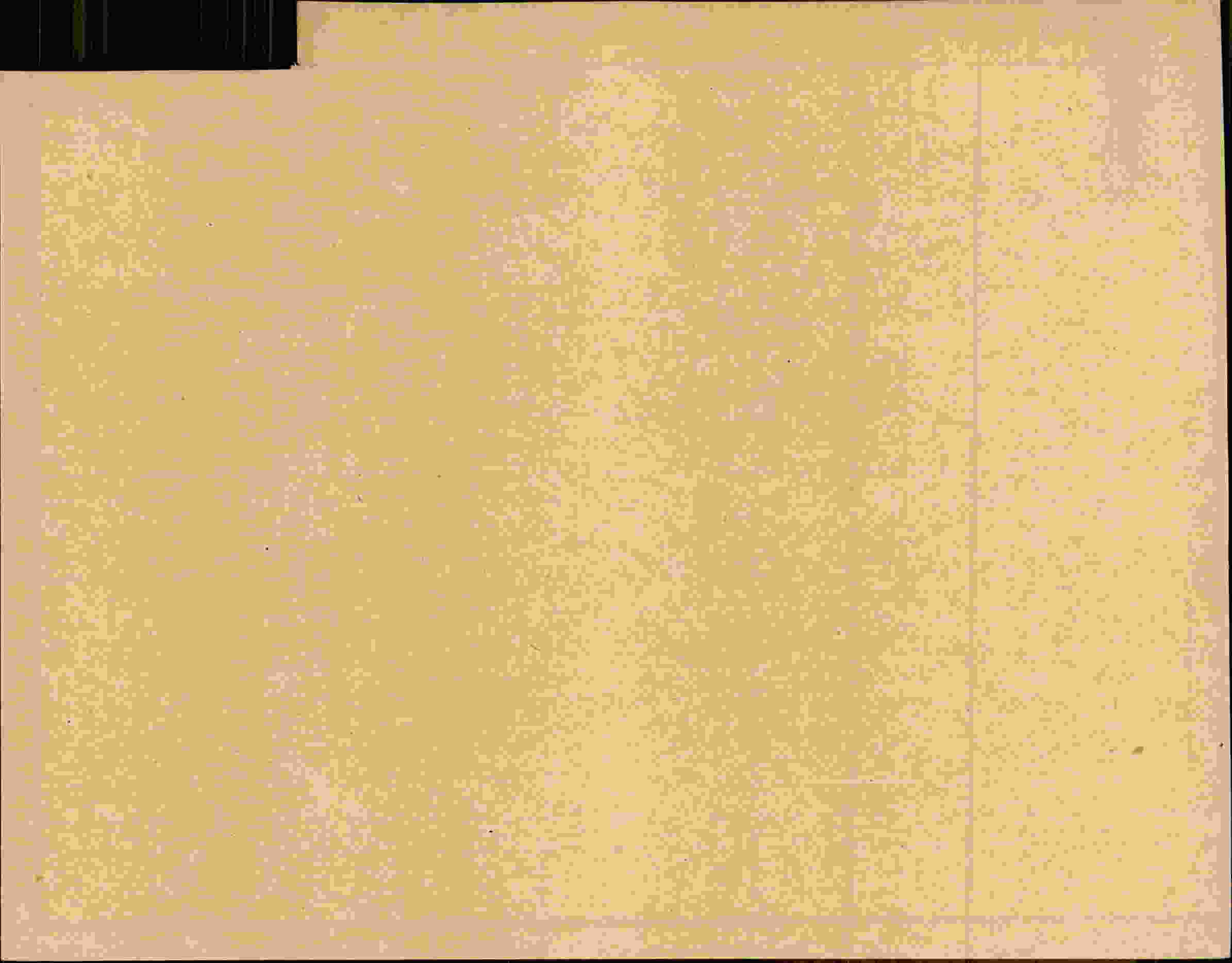 Rückseite des Dokuments