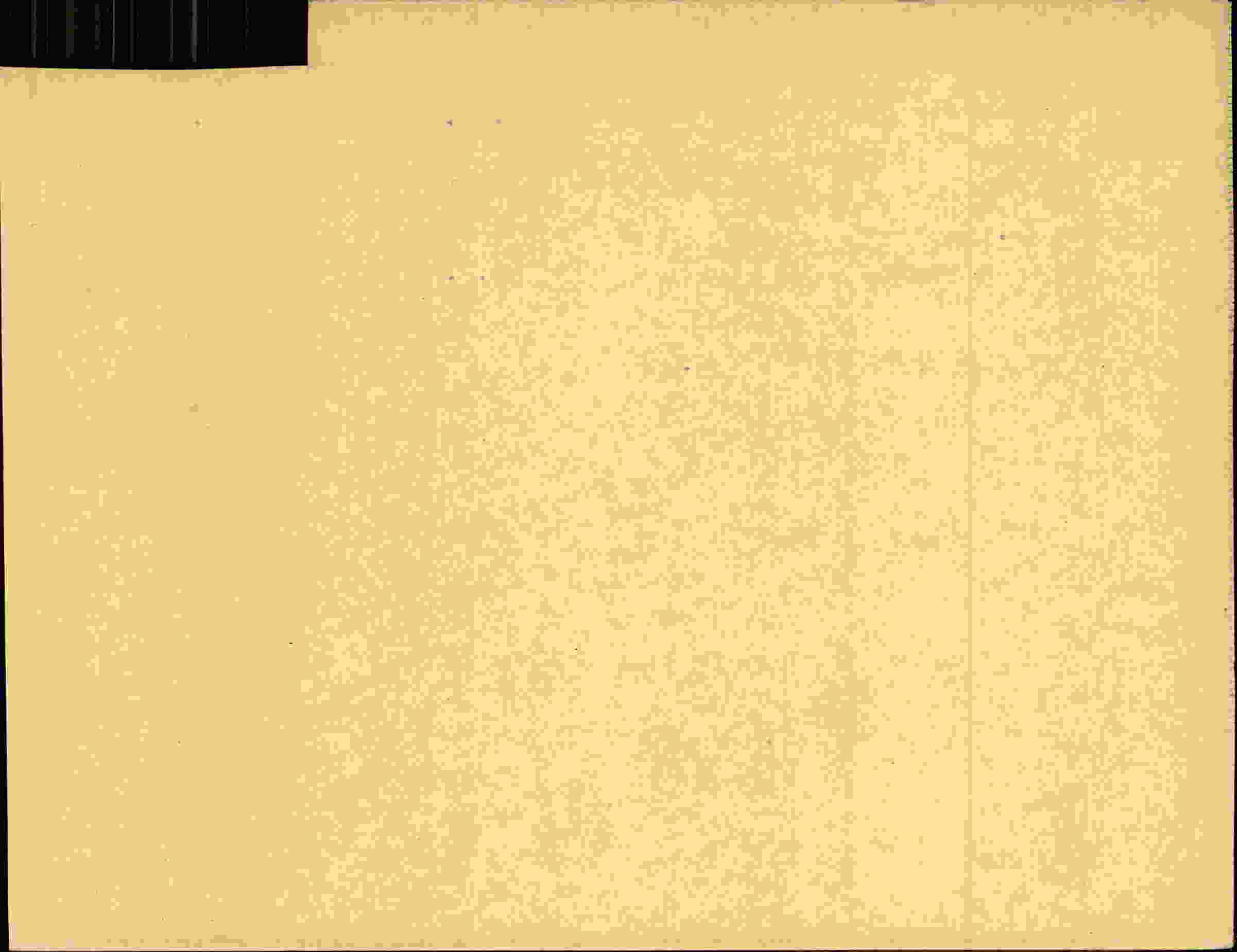 Rückseite des Dokuments