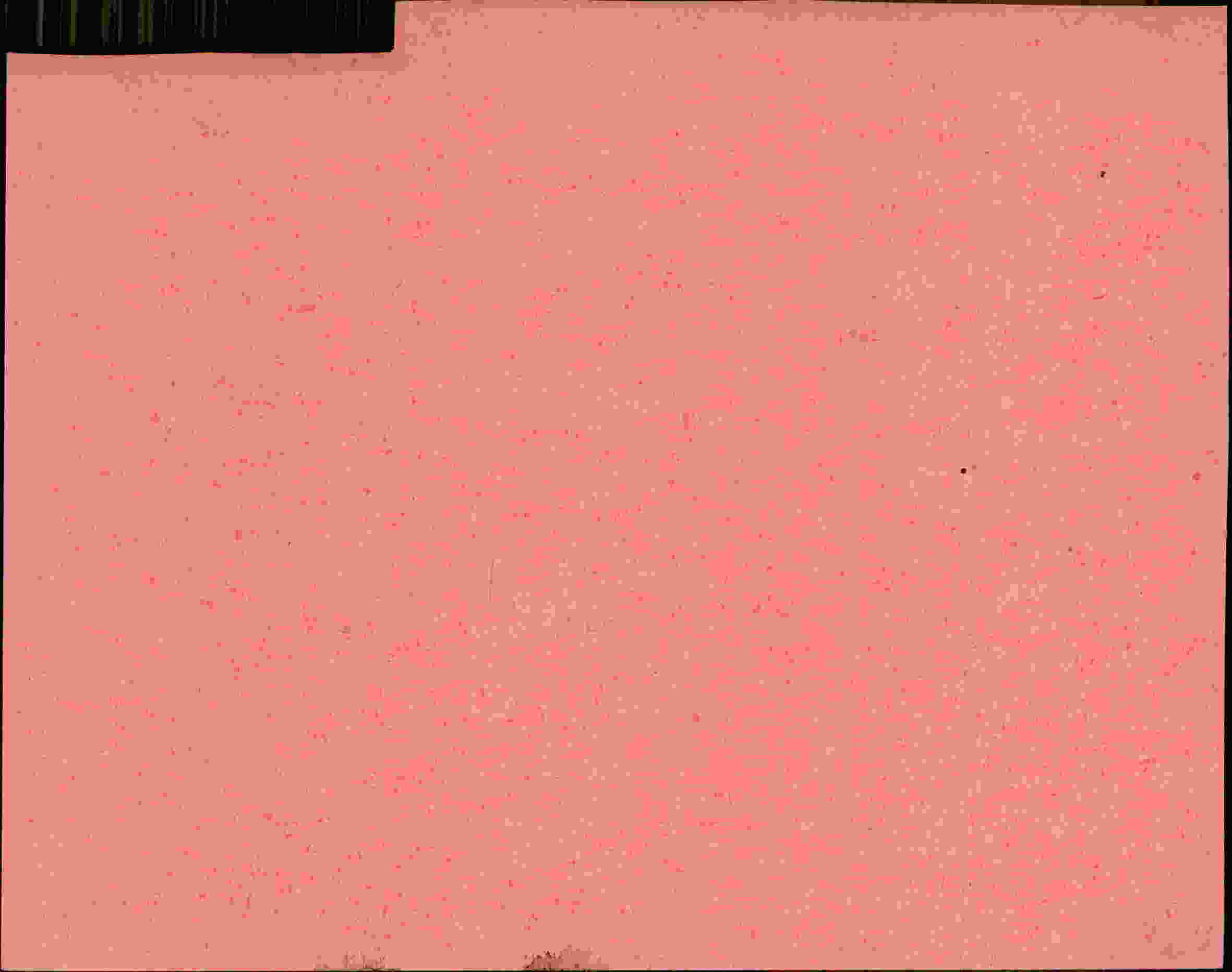 Rückseite des Dokuments