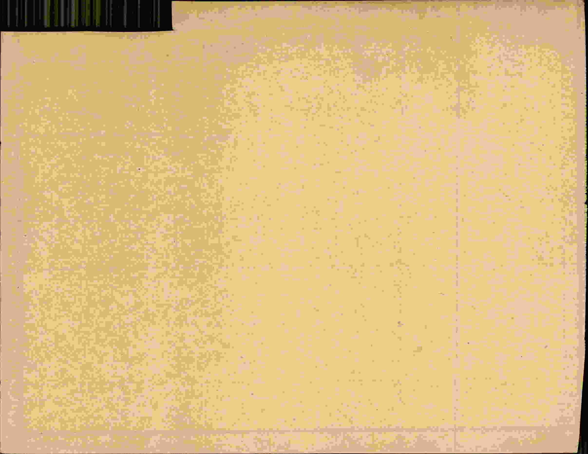 Rückseite des Dokuments