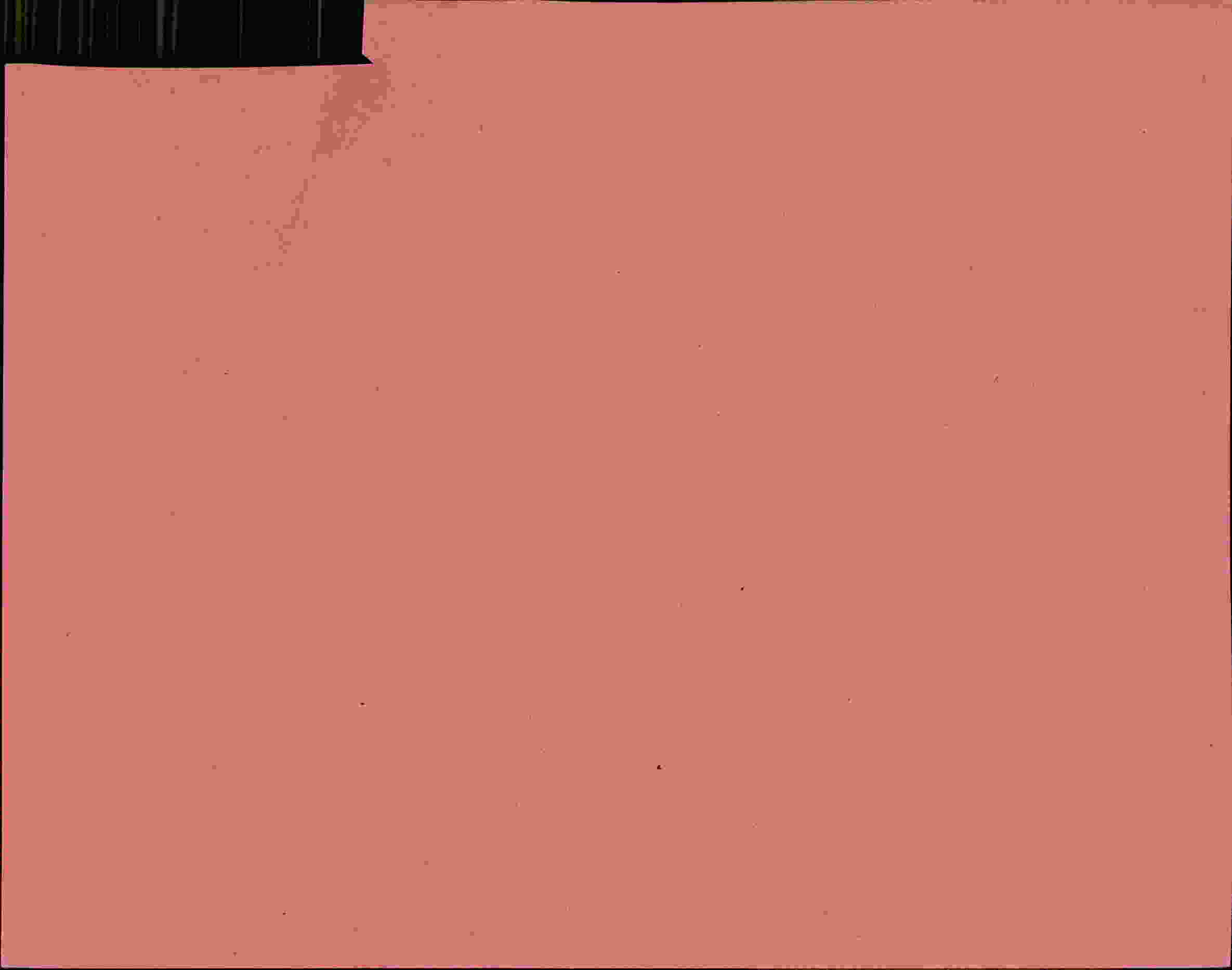Rückseite des Dokuments