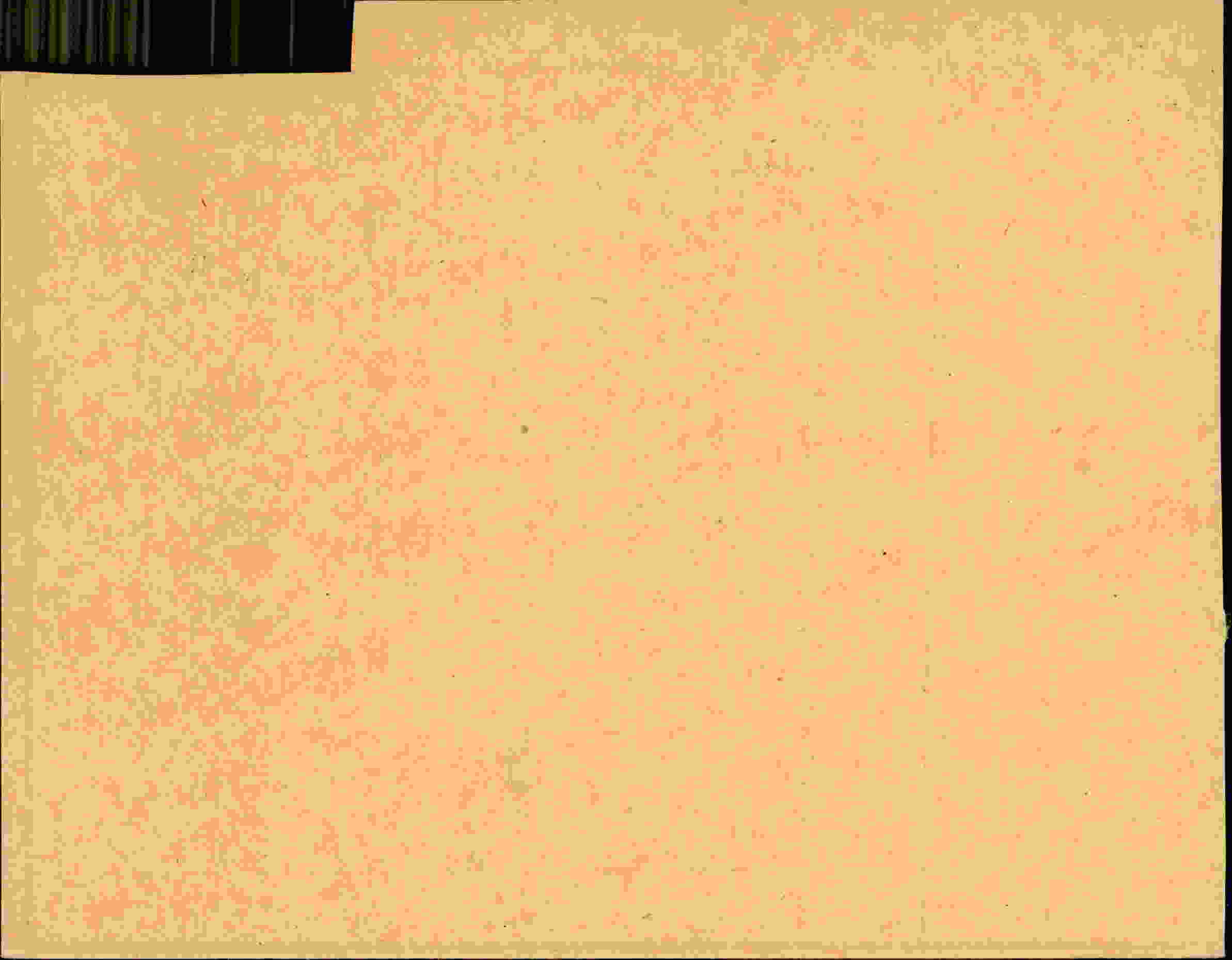 Rückseite des Dokuments
