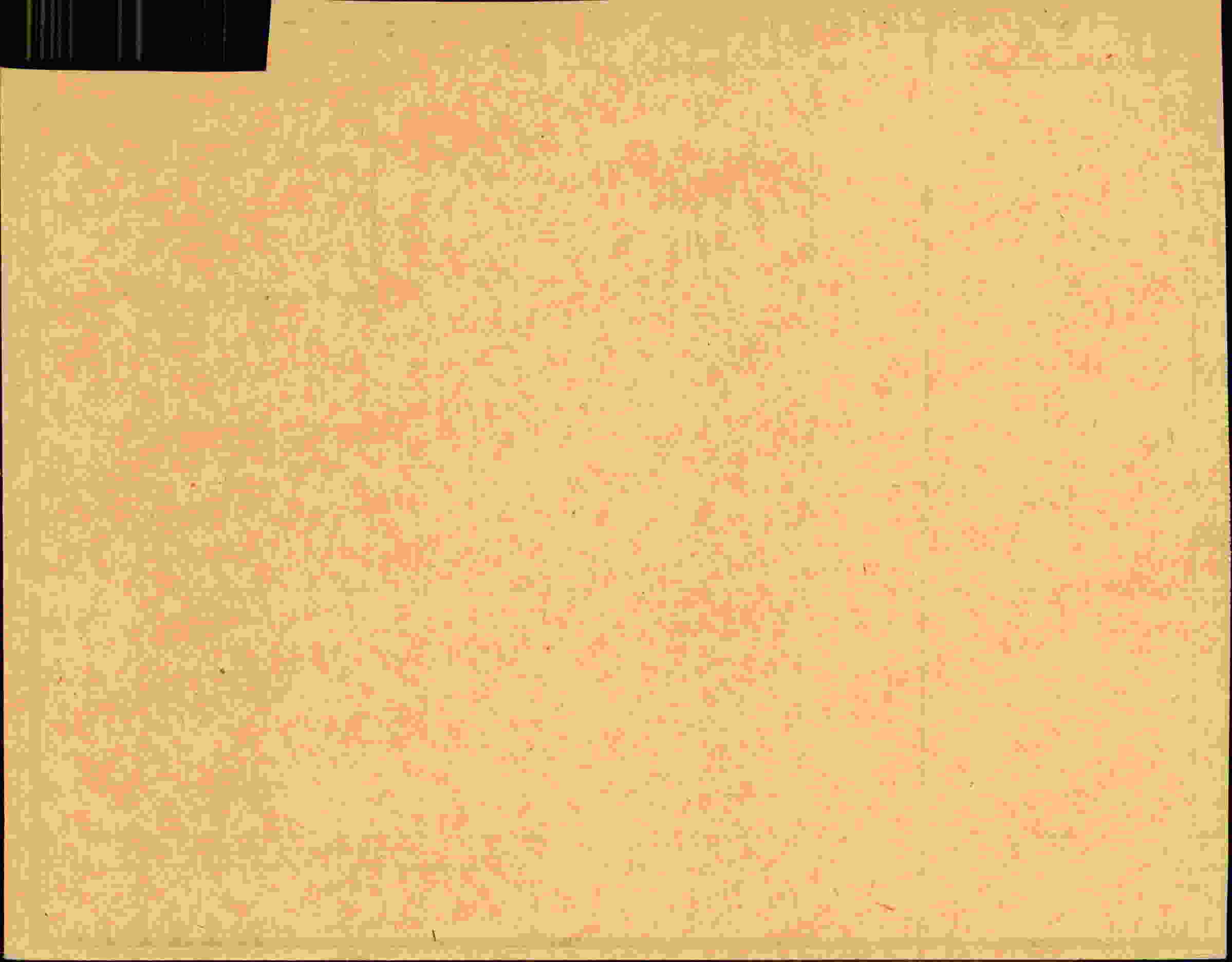 Rückseite des Dokuments