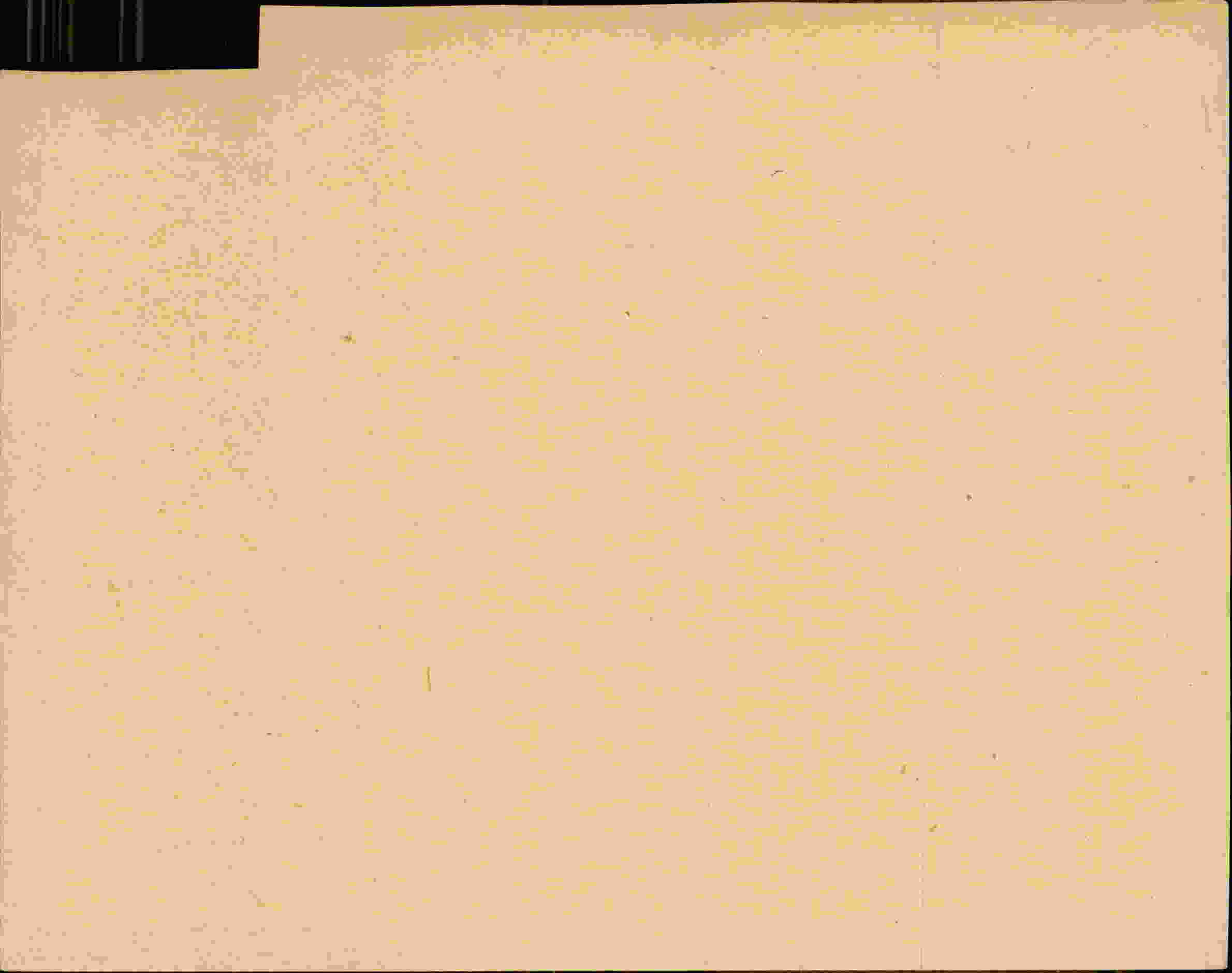 Rückseite des Dokuments