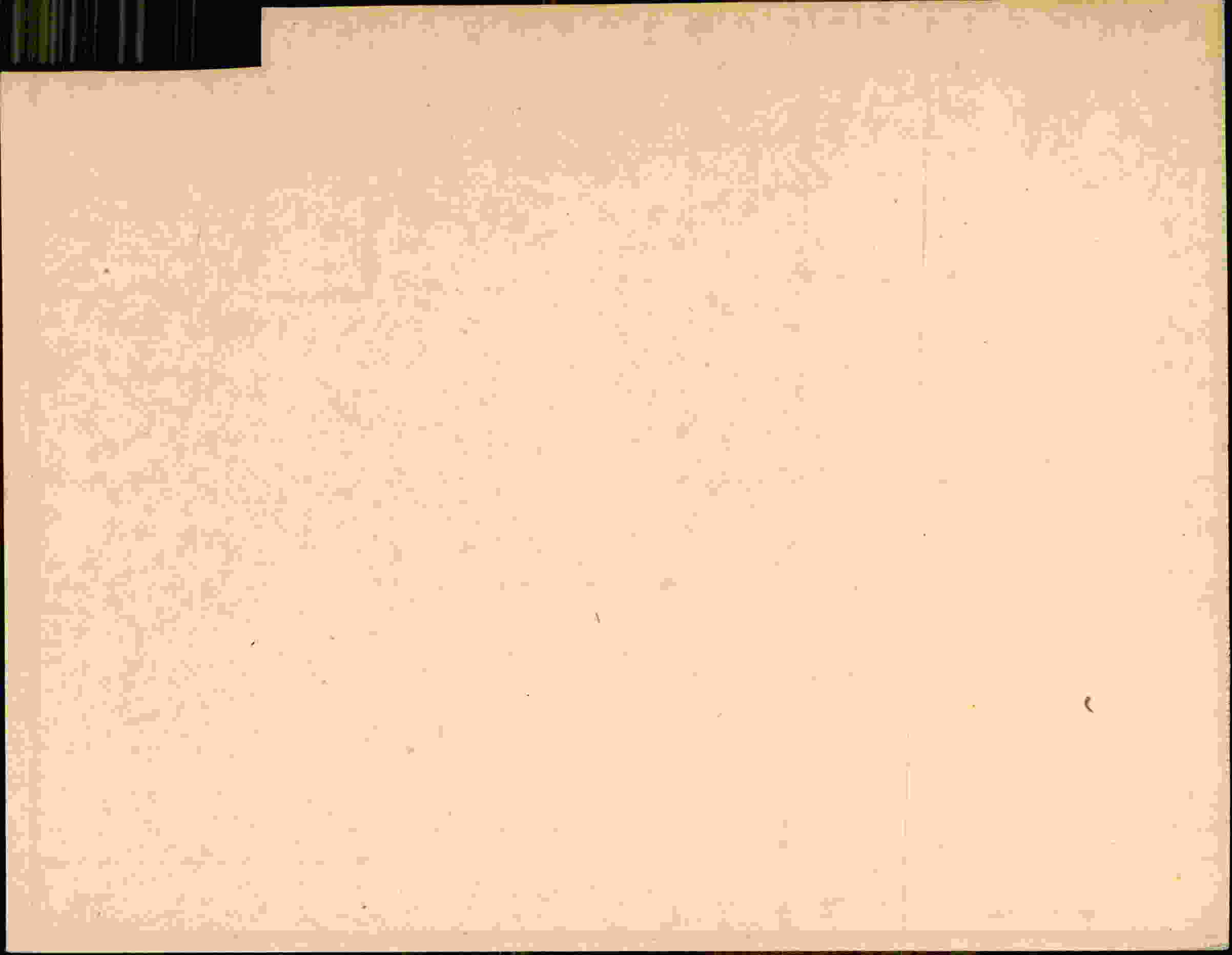Rückseite des Dokuments