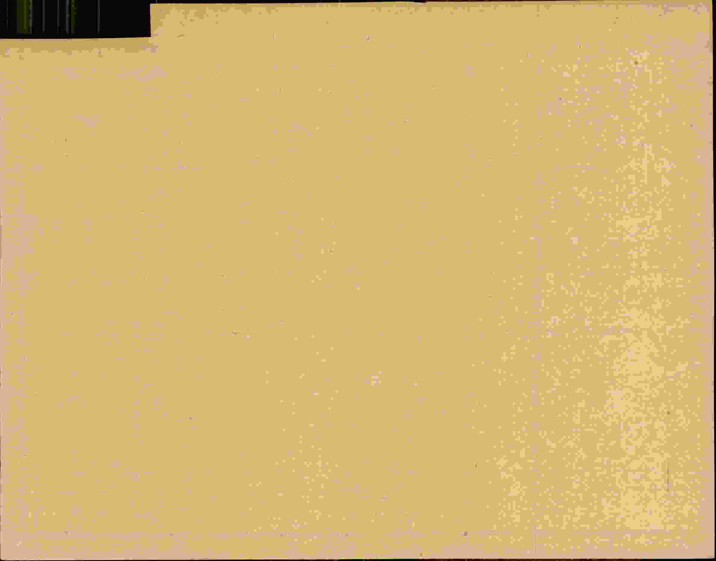 Rückseite des Dokuments