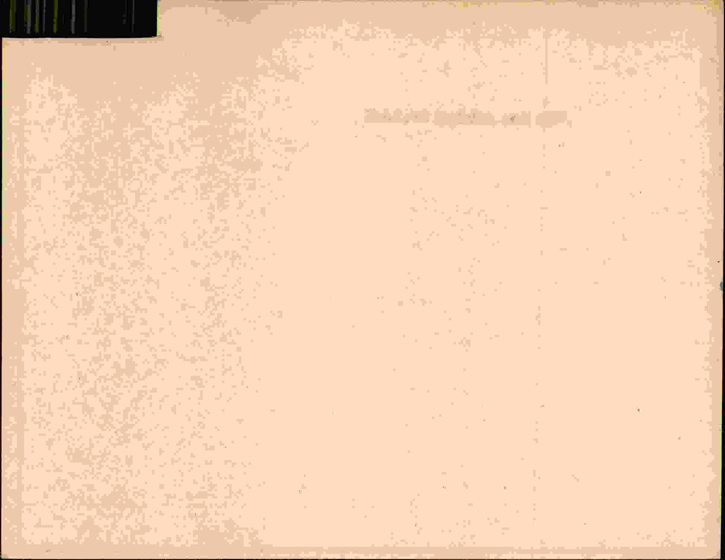 Rückseite des Dokuments