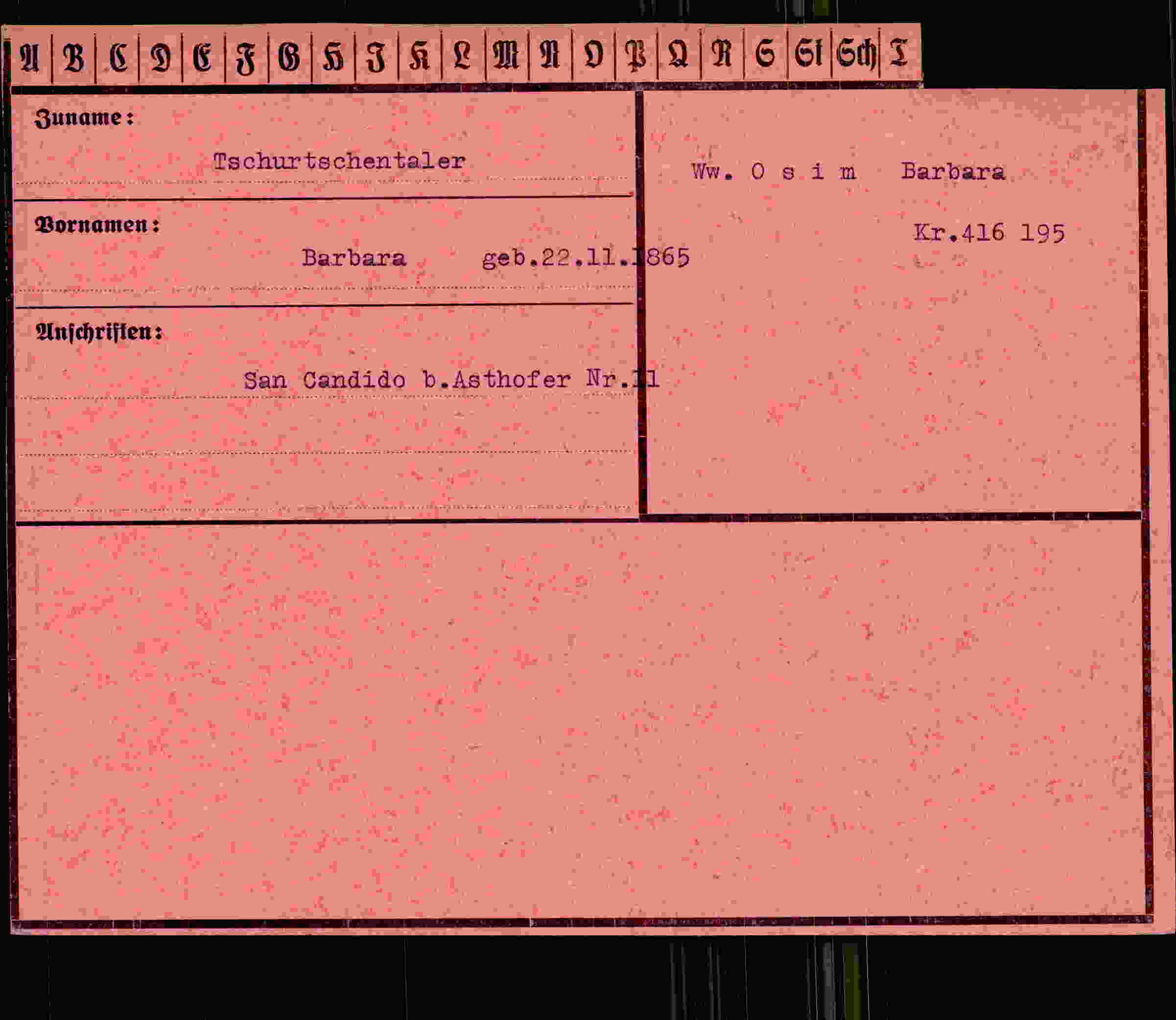 Dokument für Barbara Tschurtschentaler