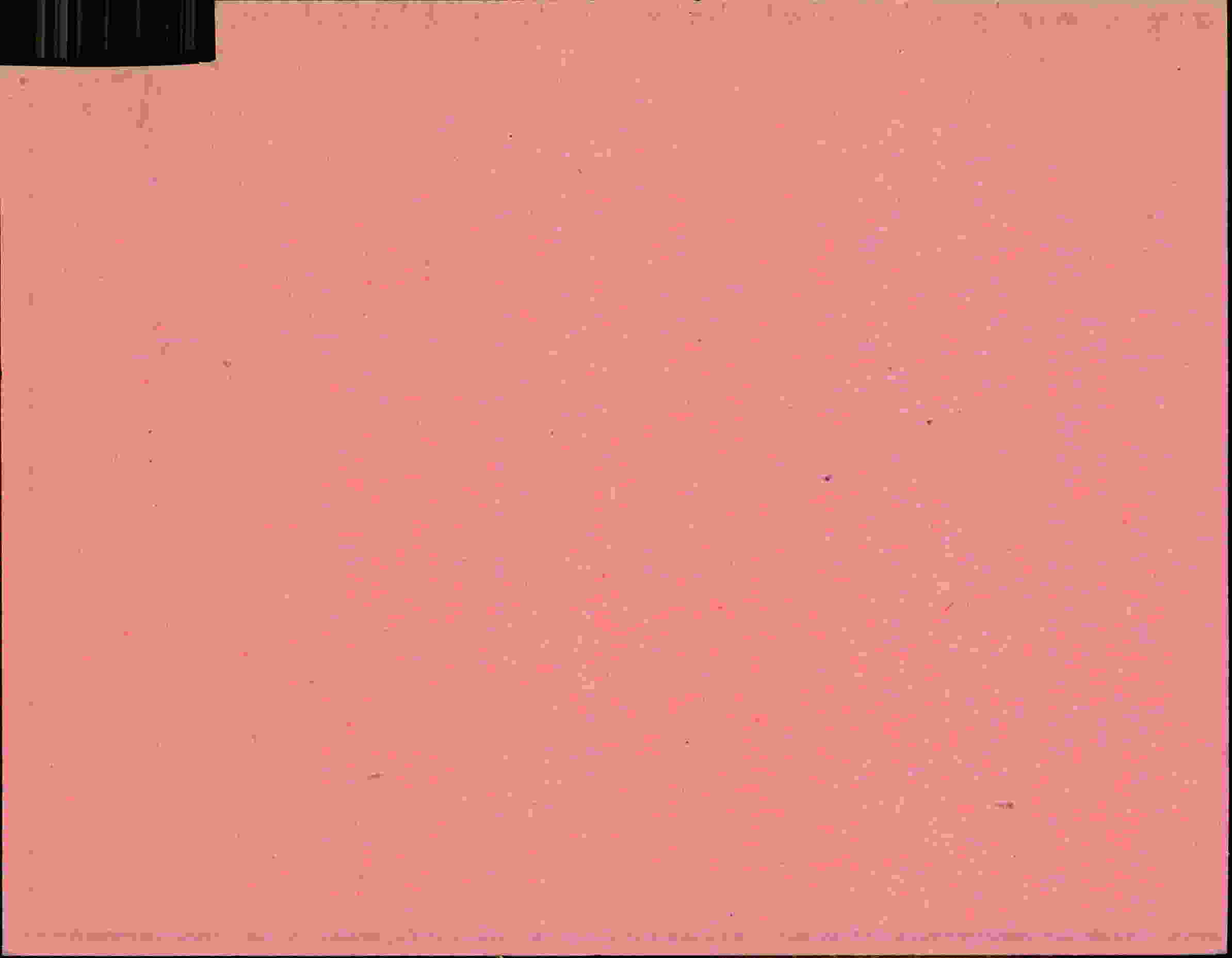 Rückseite des Dokuments