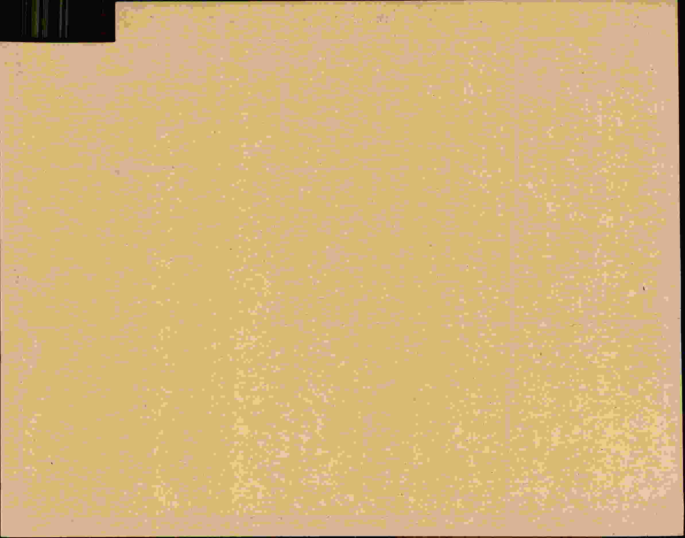 Rückseite des Dokuments