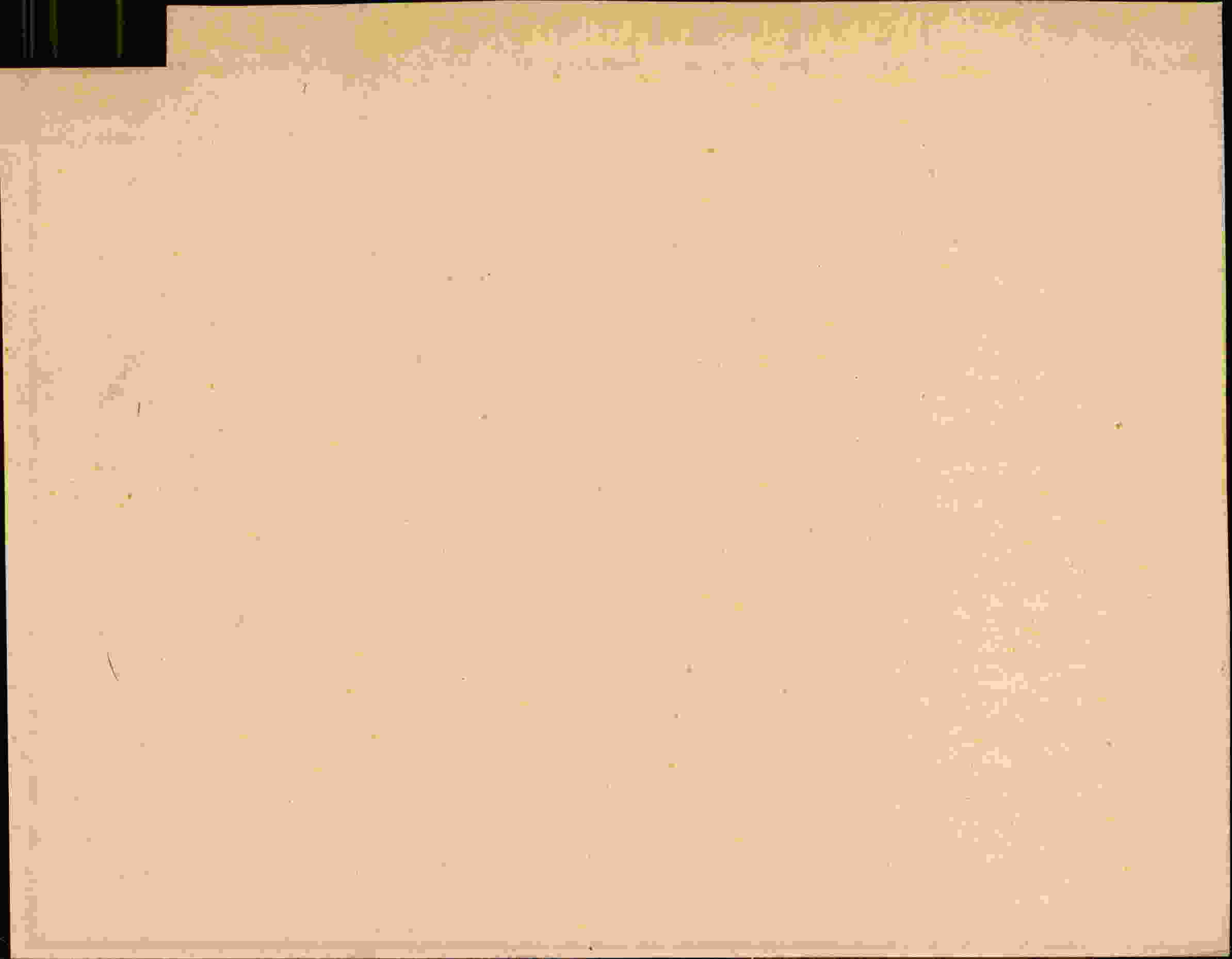 Rückseite des Dokuments
